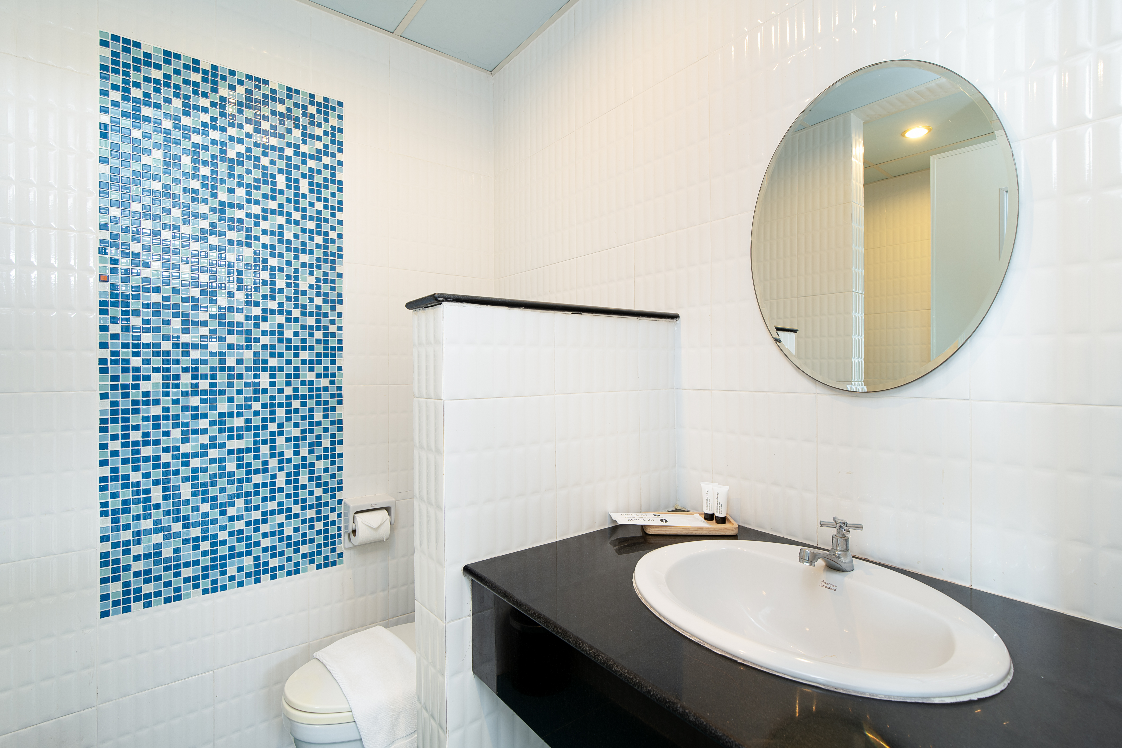 Double or Twin Superior