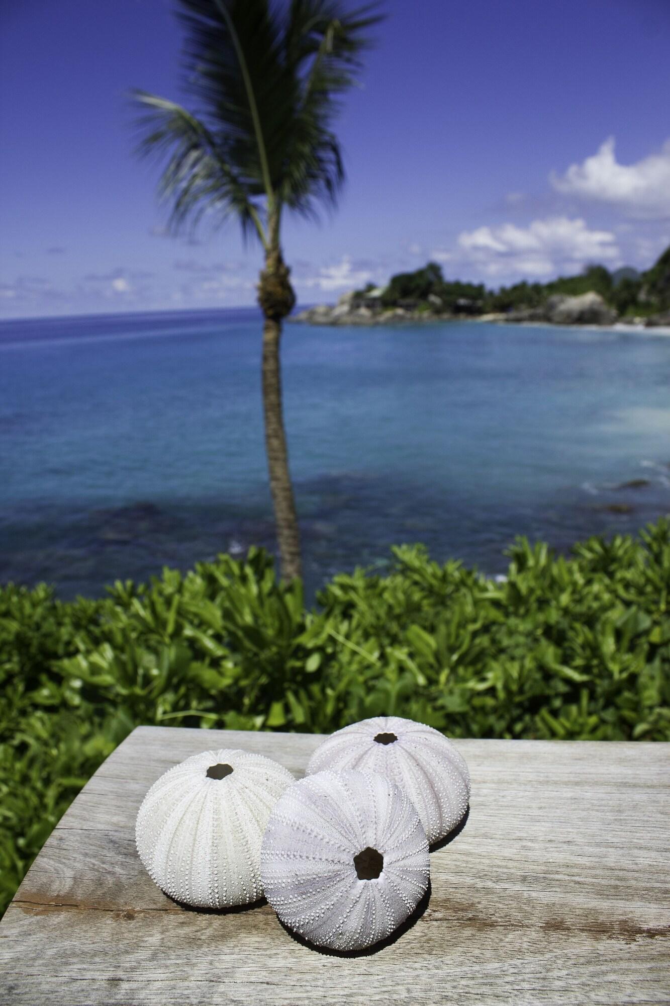 Chalet Ocean View King Bed