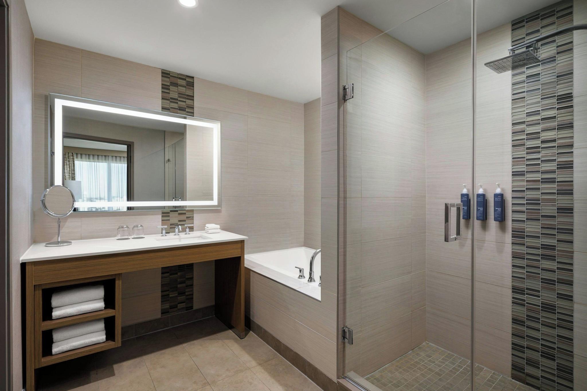 Suite King Bed One Bedroom 