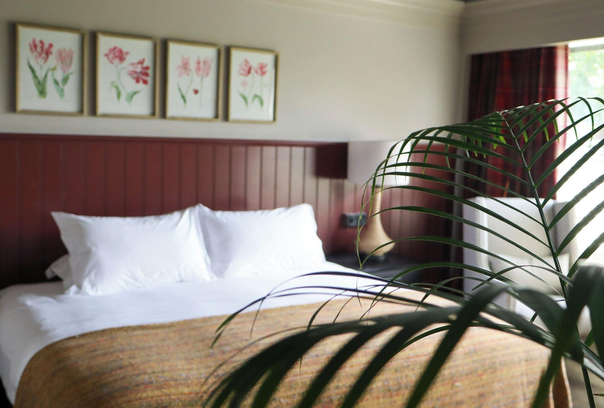 Double Classic King Bed