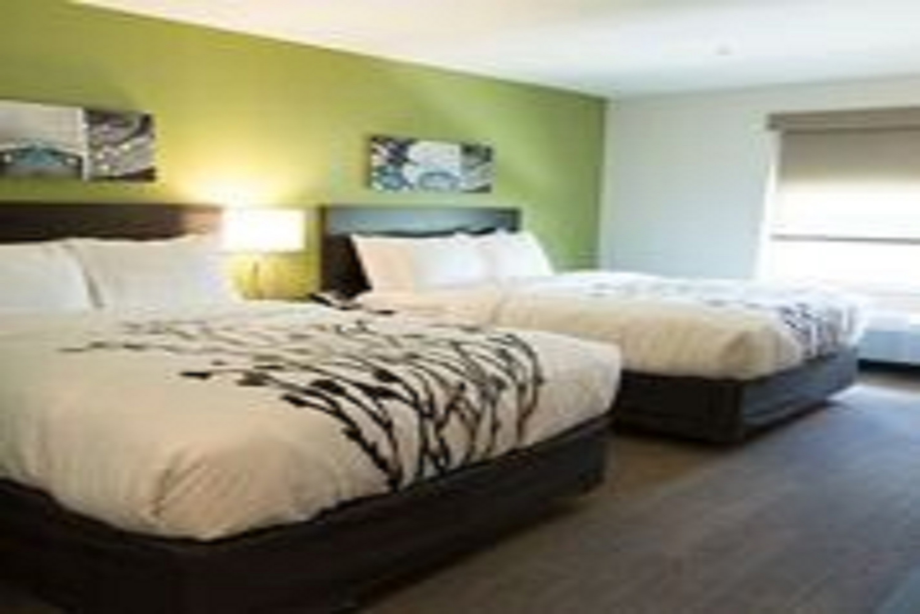 Double Two Queen Beds