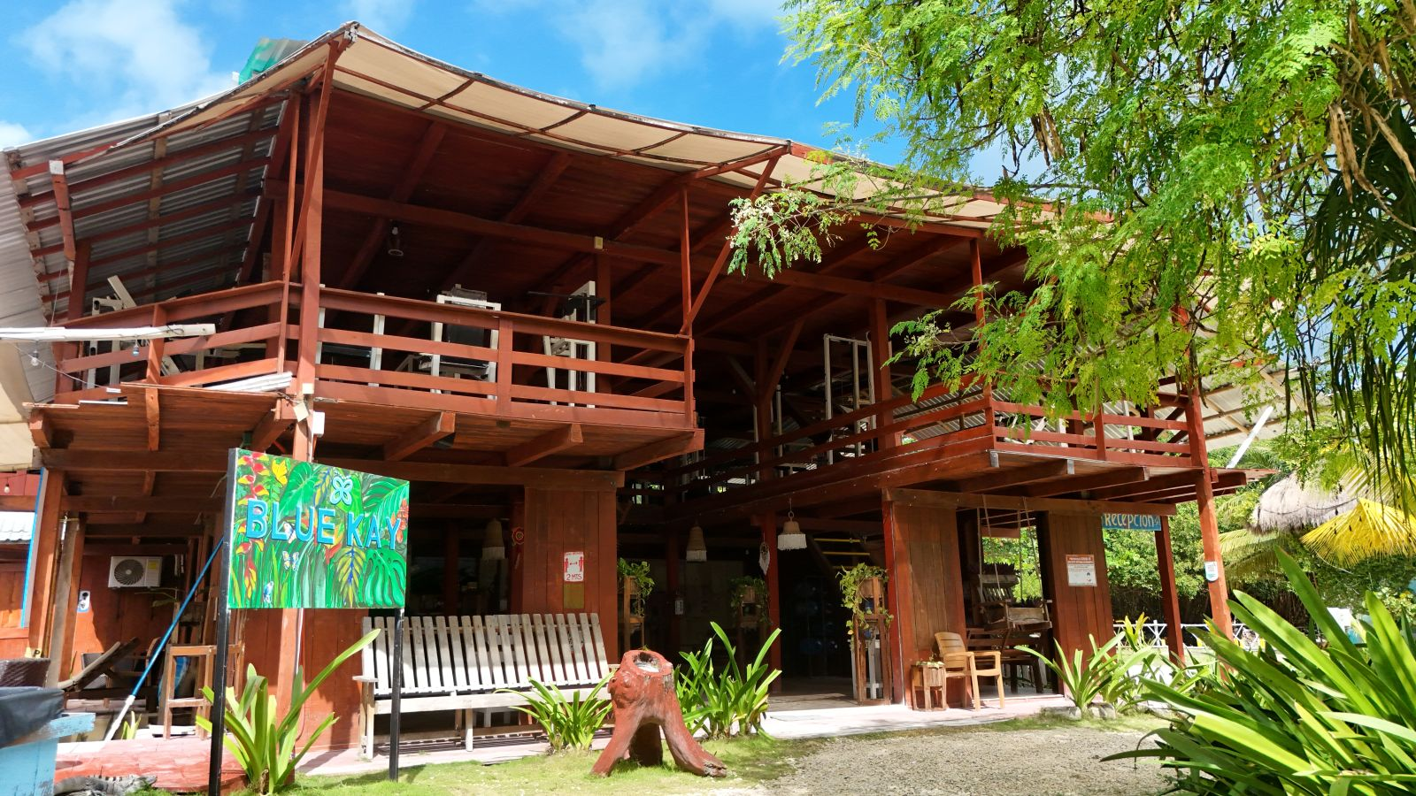 General View