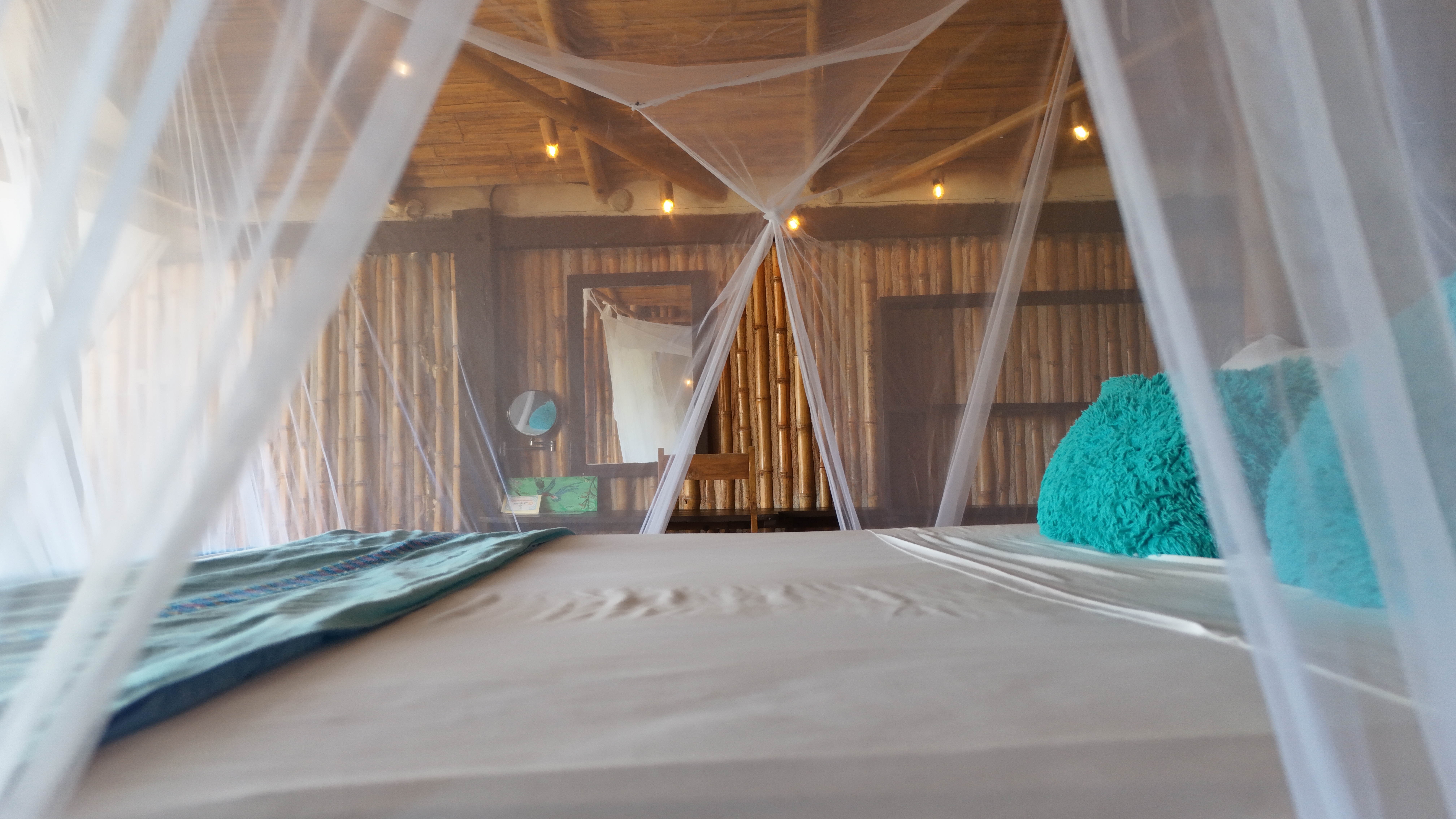 Bungalow Two Queen Beds