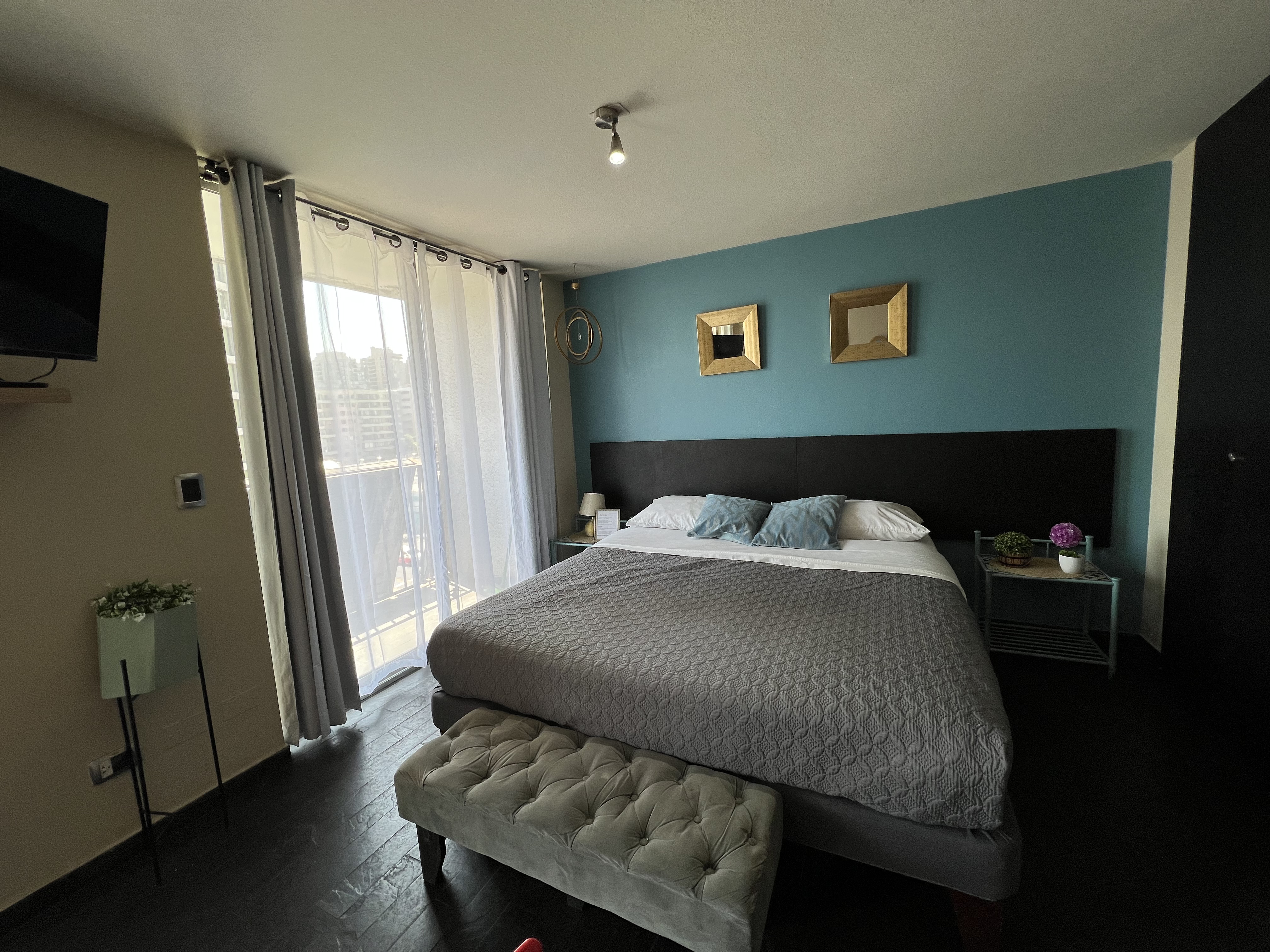 Studio Deluxe Capacity 2