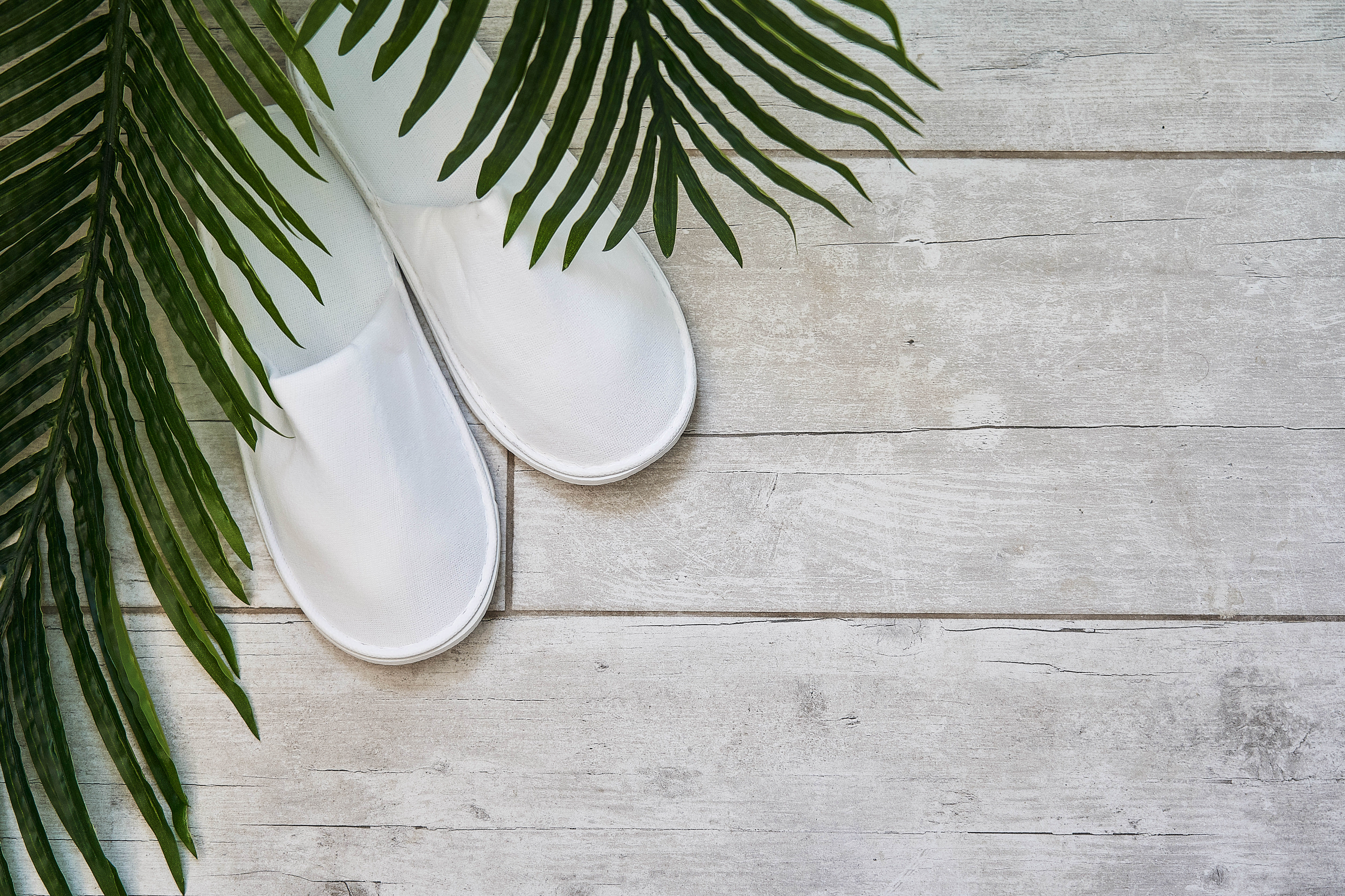 Suite Premium Sea View