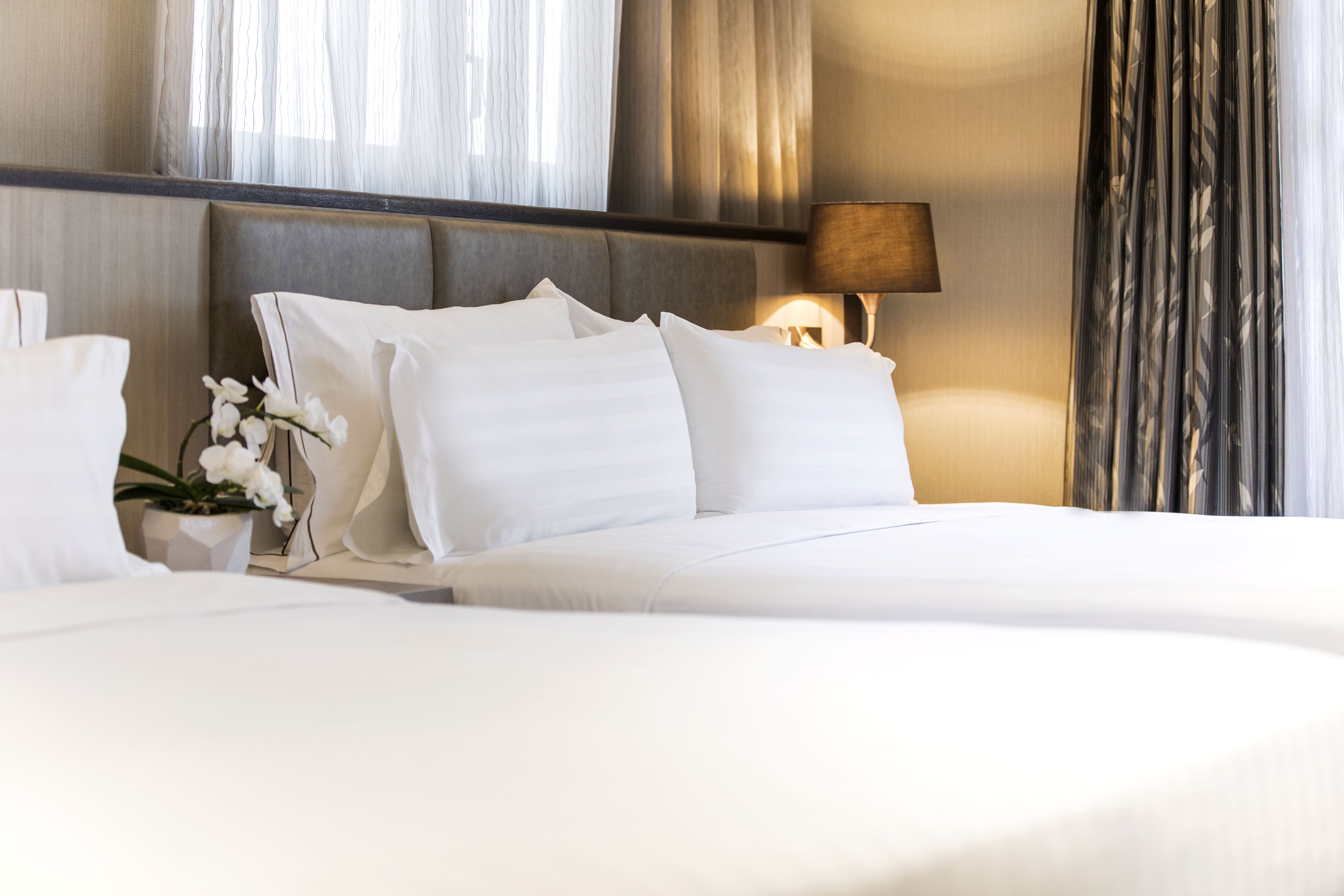 Family Room Superior