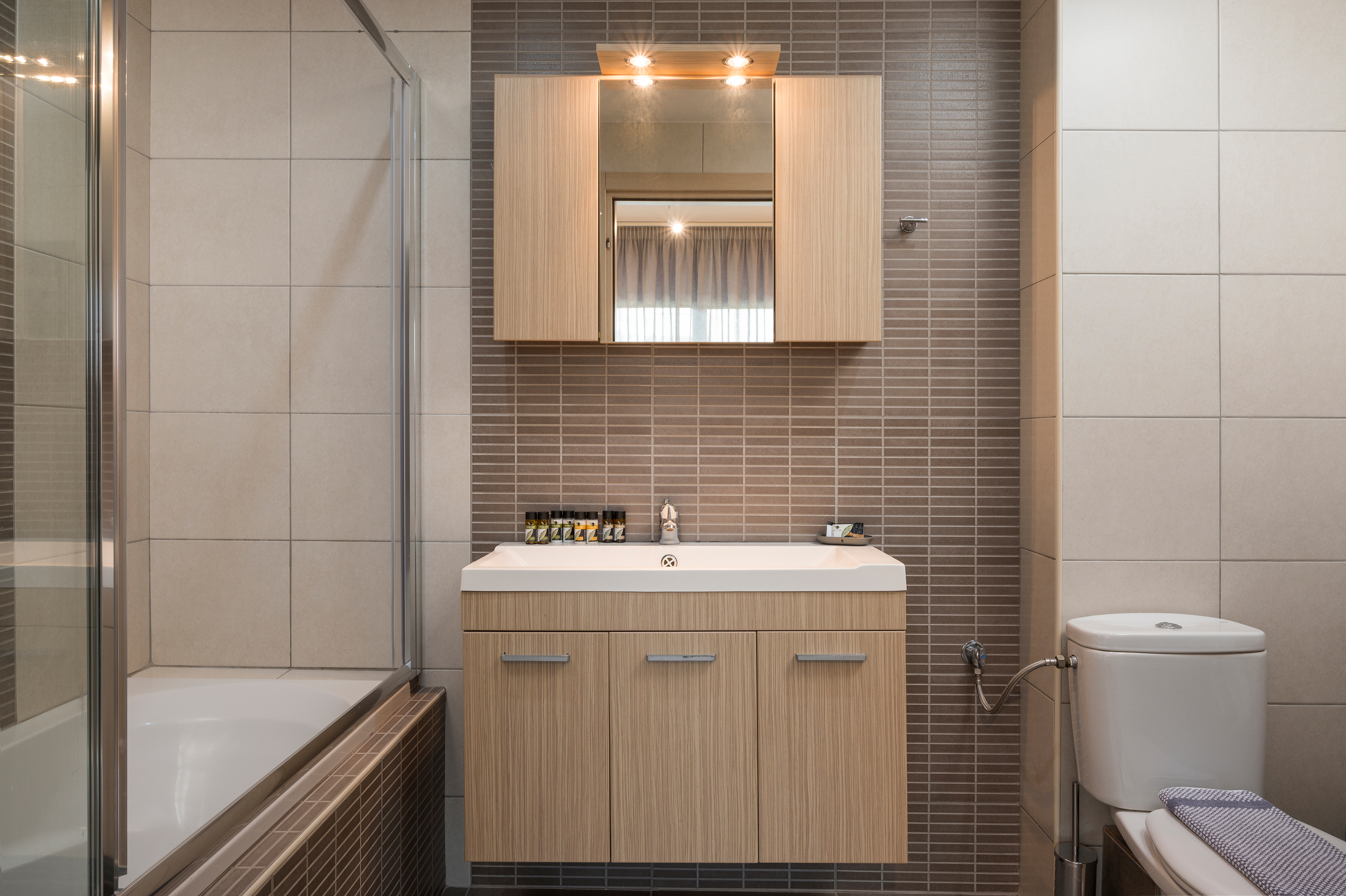 Apartment Superior One Bedroom