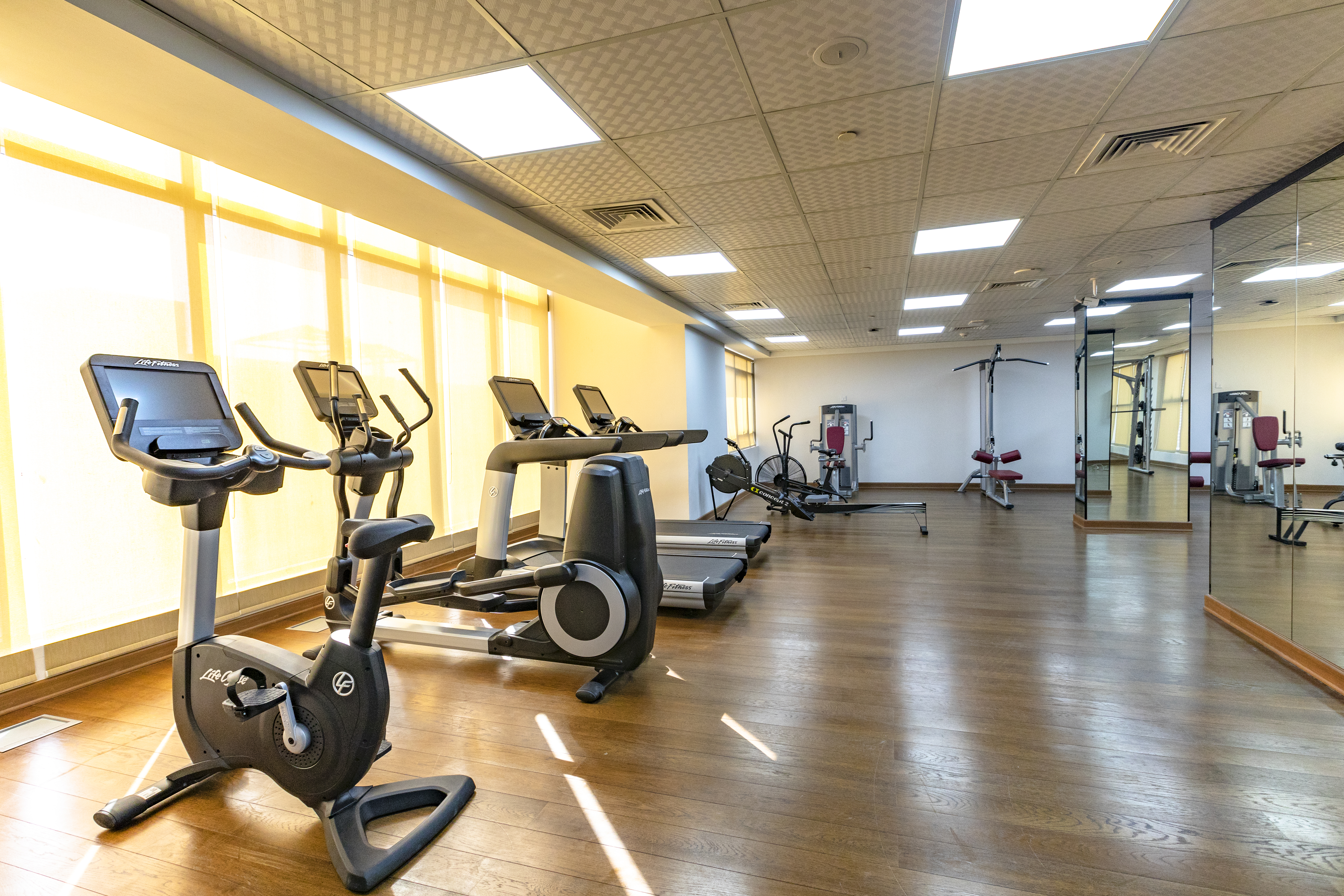 Sports and Entertainment