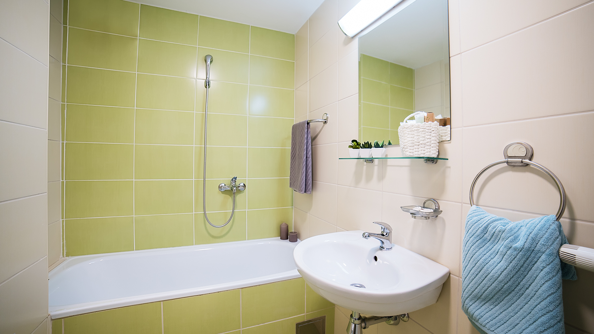 Apartment Superior One Bedroom