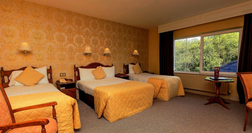 Family Room Standard