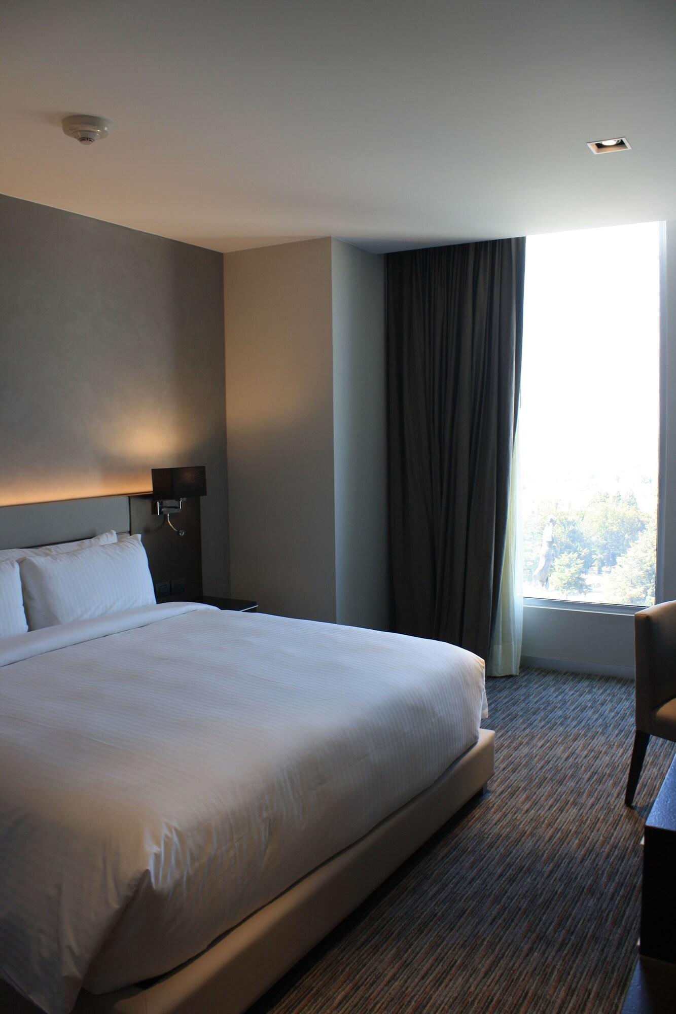 Double City View King Bed