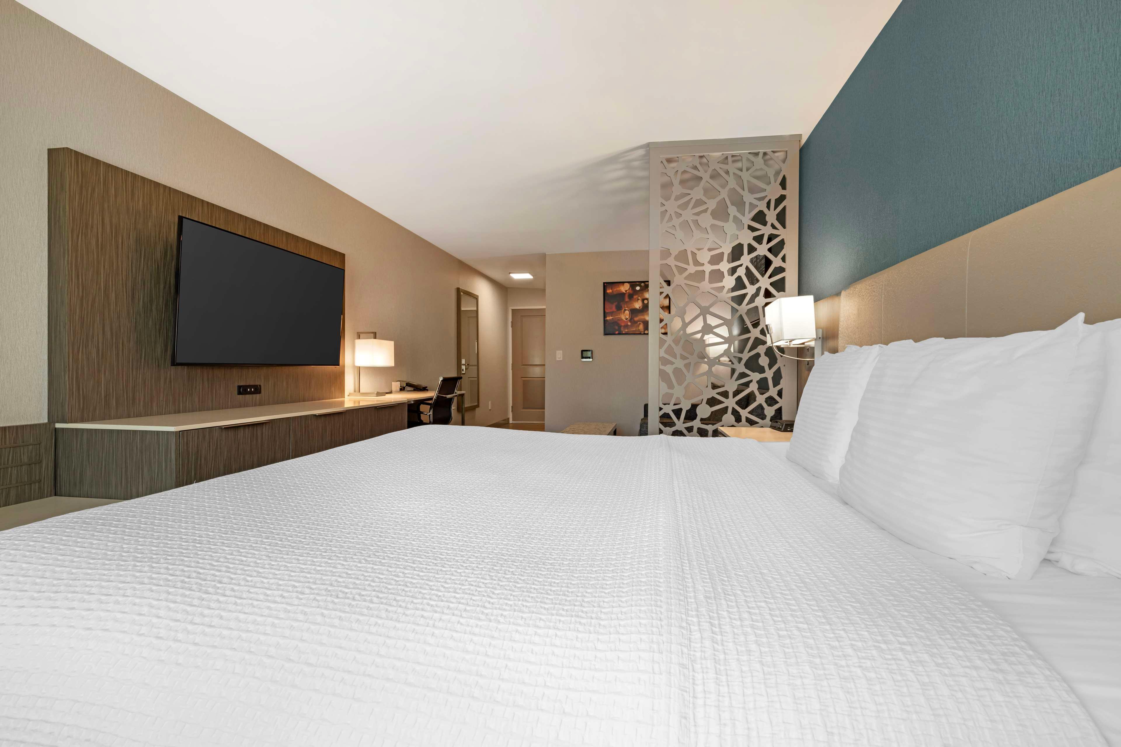 Suite King Bed Non Smoking