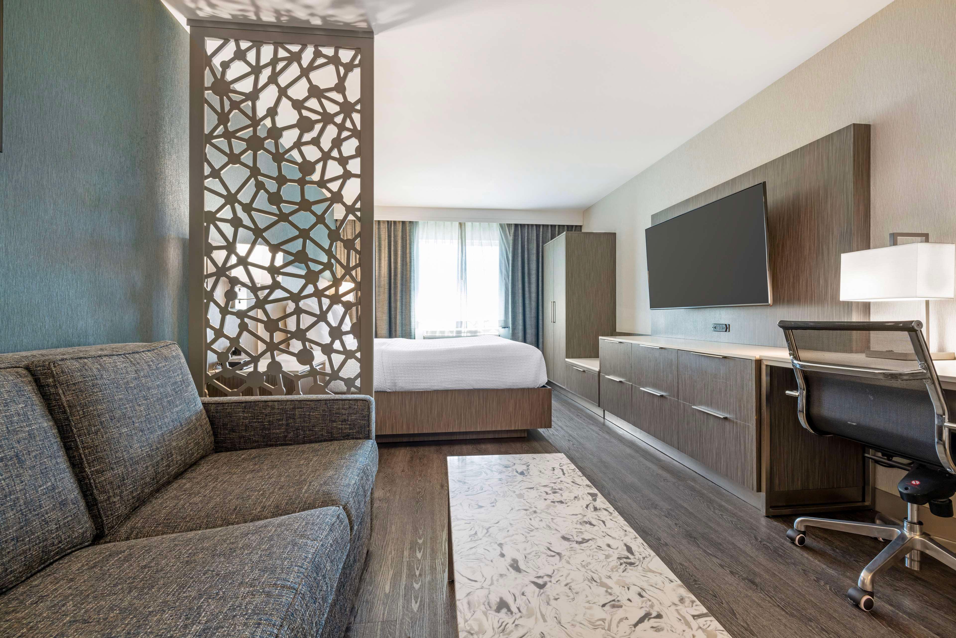 Suite King Bed Non Smoking