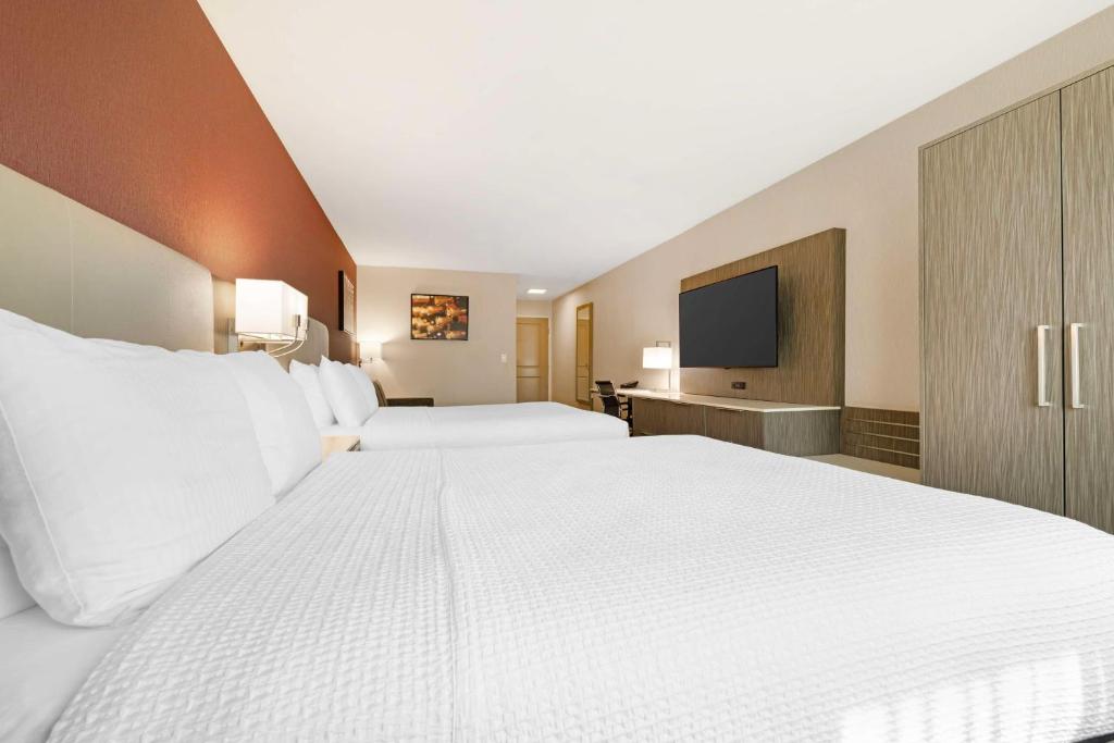 Suite Two Queen Beds