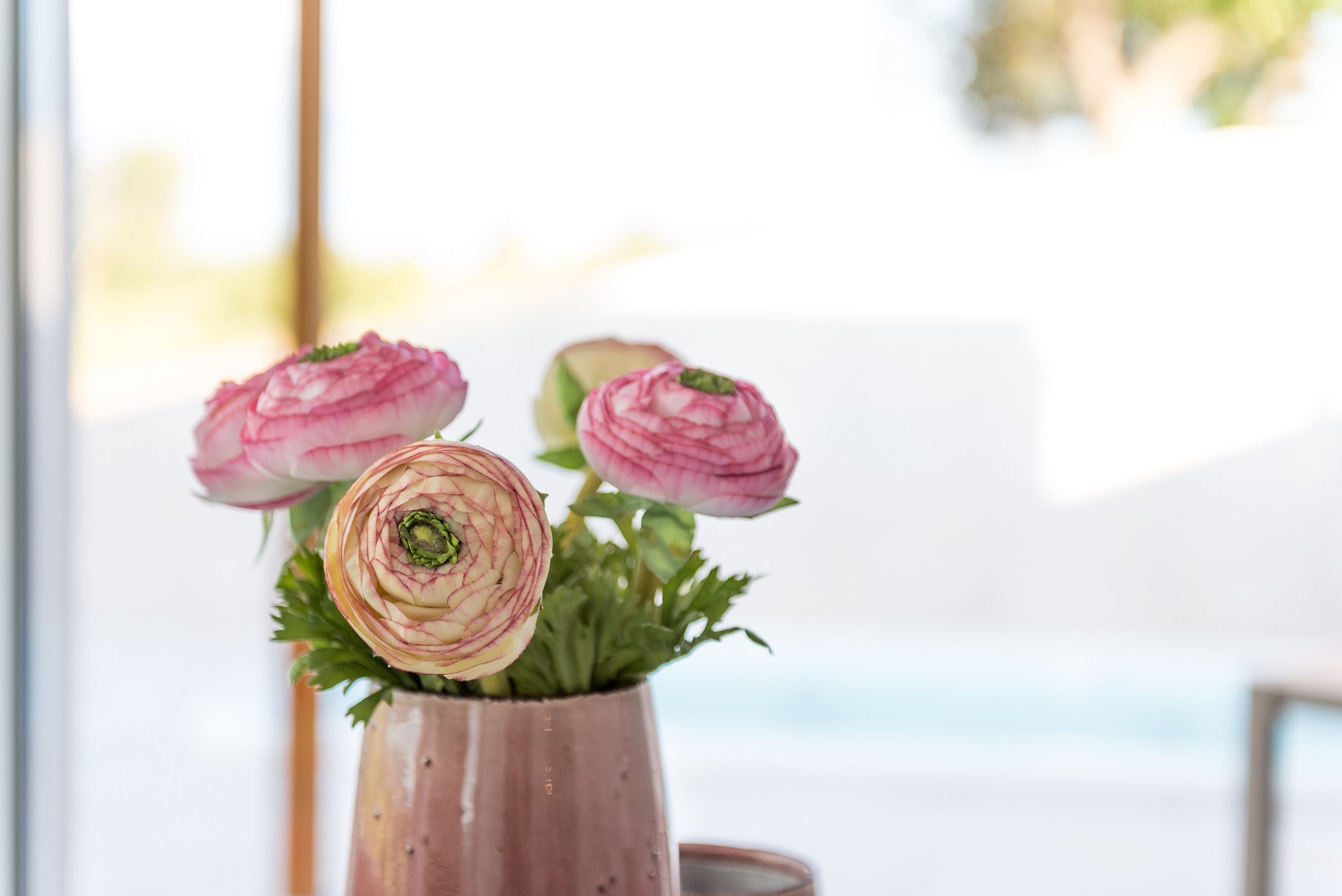 Suite with Private Pool