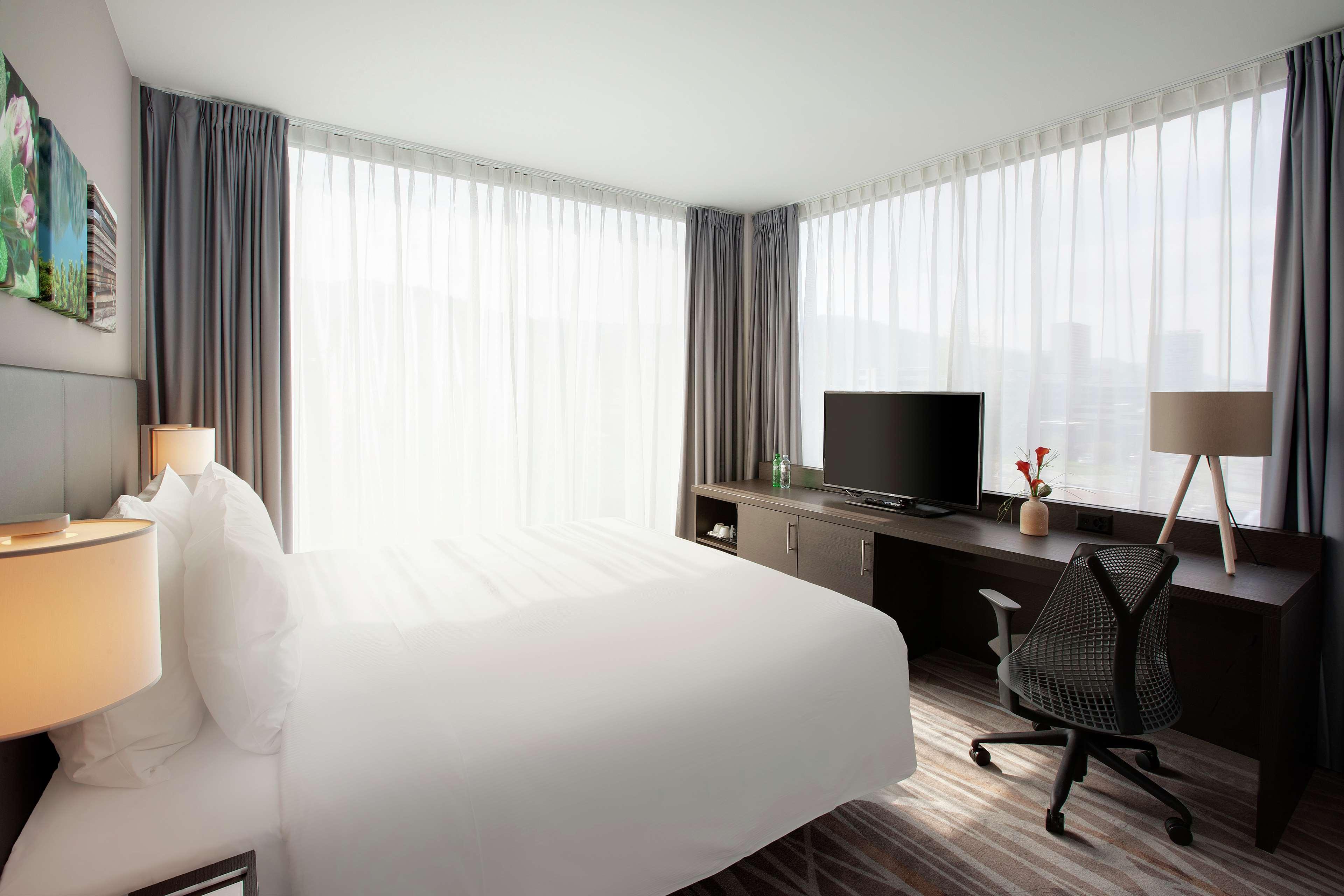 Suite King Bed One Bedroom 