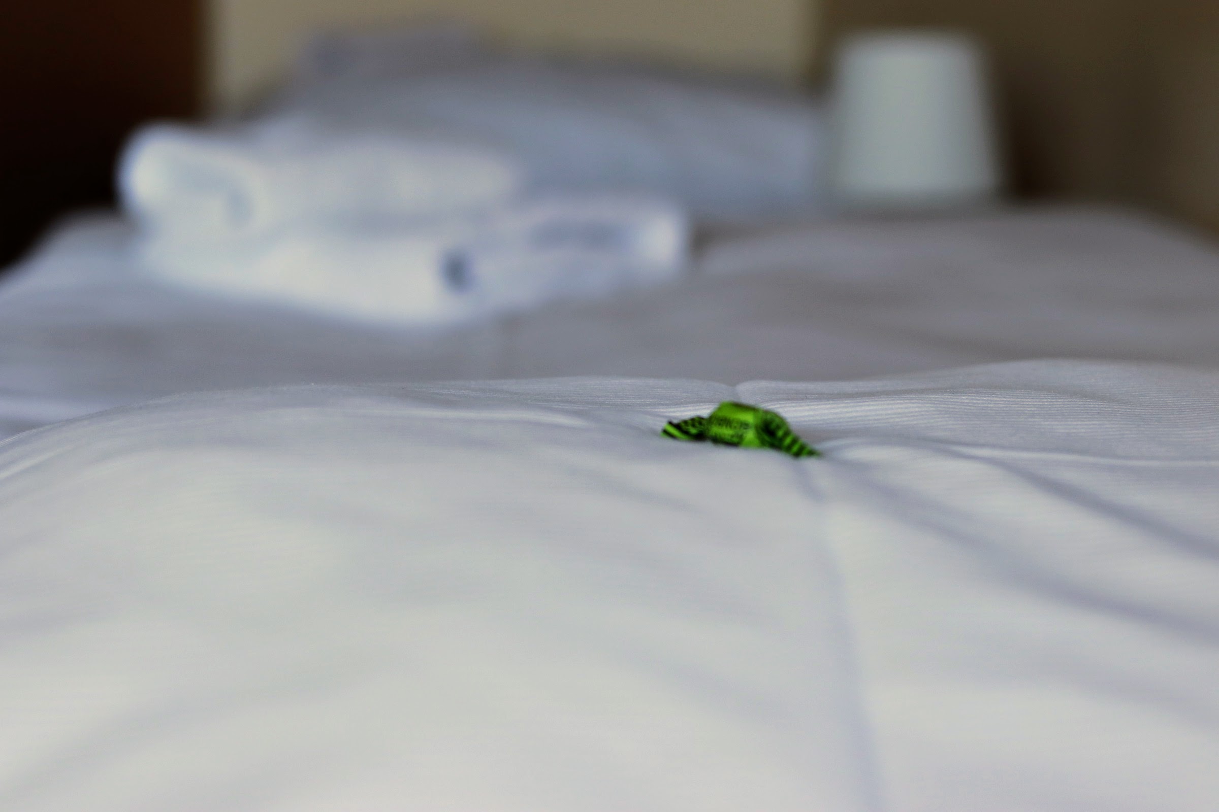 Double or Twin Comfort