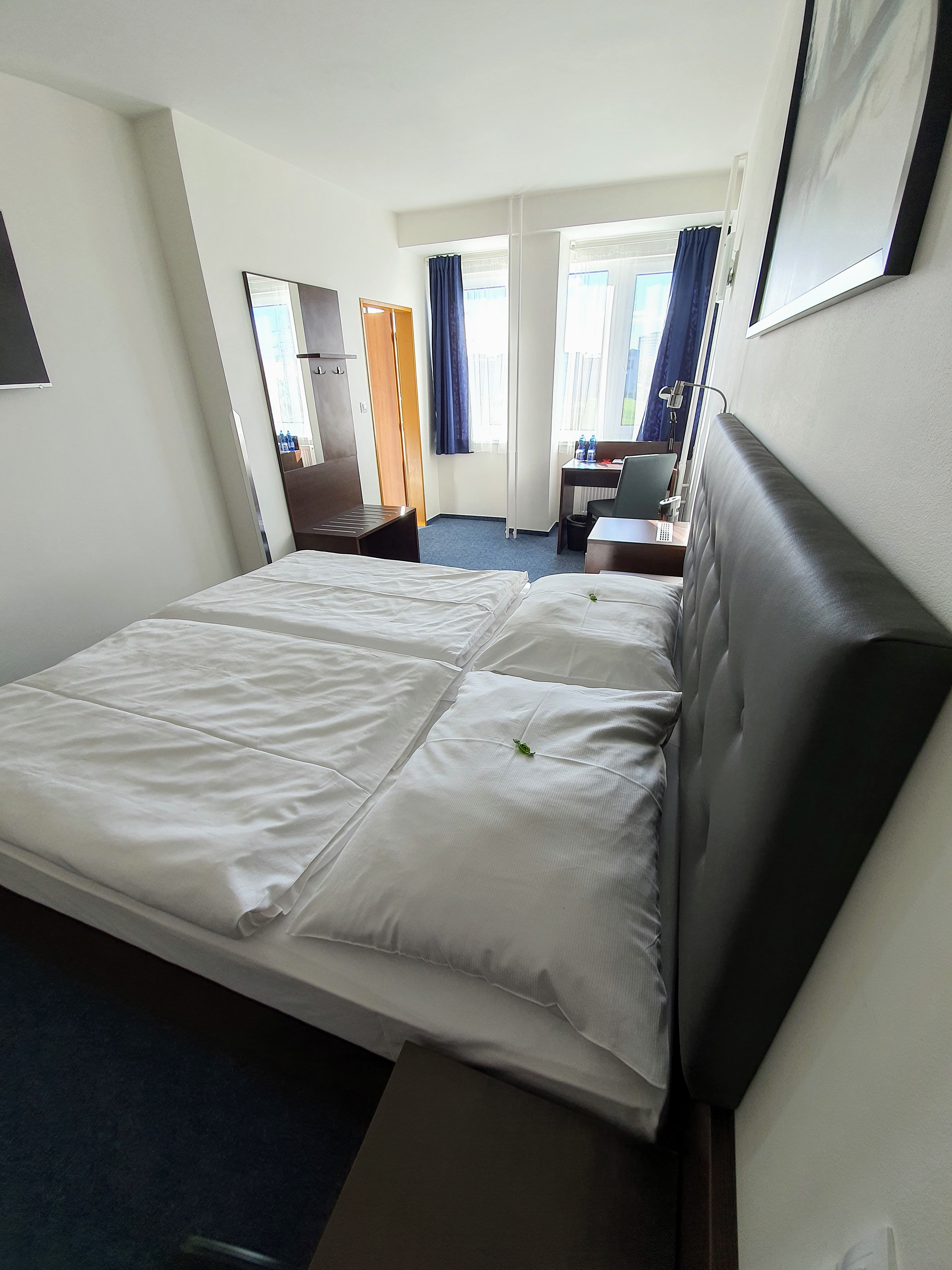 Double or Twin Superior