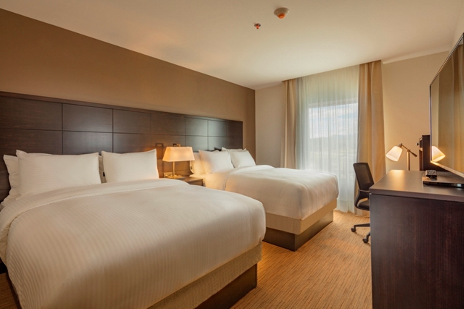 Double Two Queen Beds