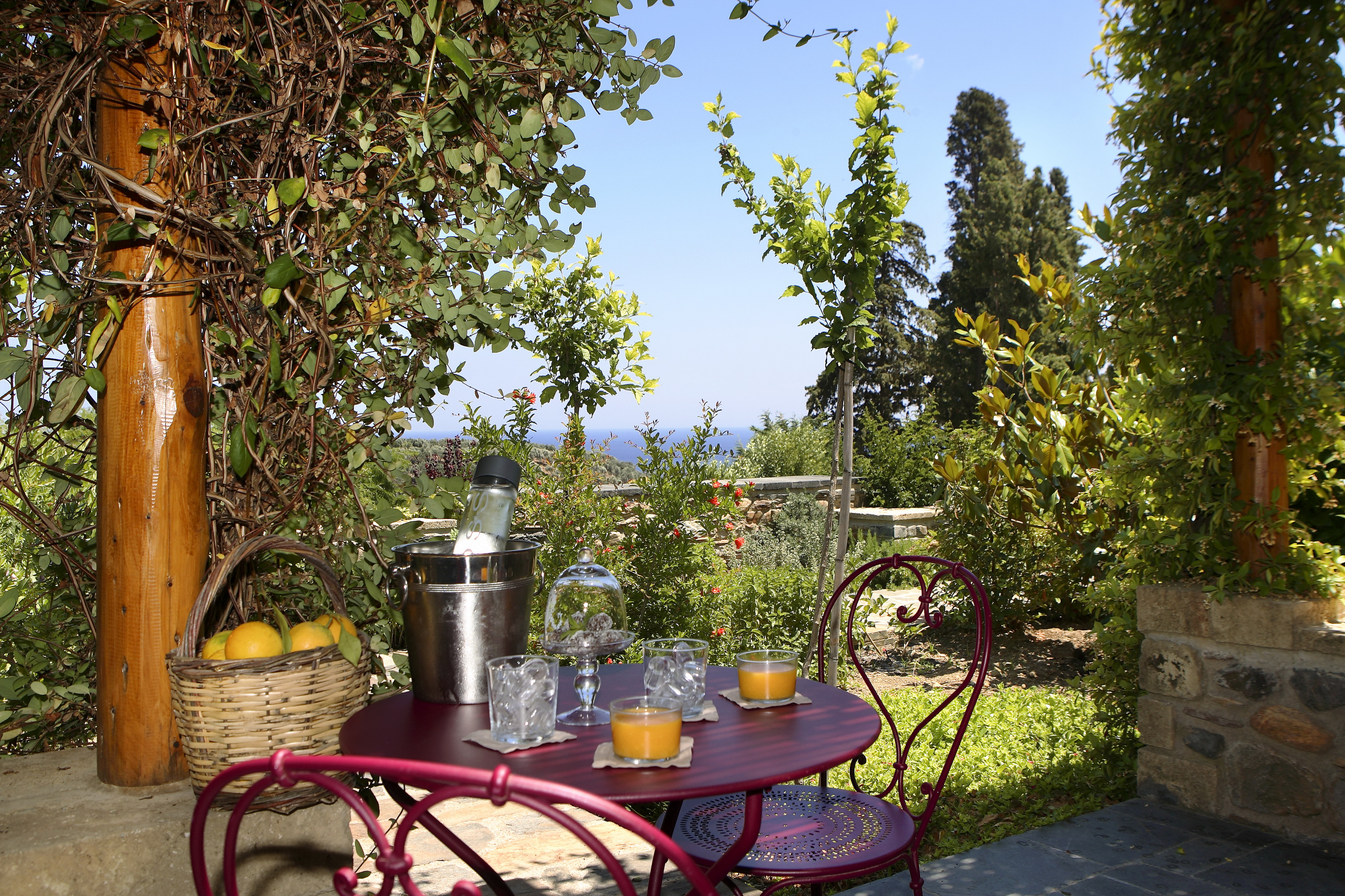 Junior Suite Standard