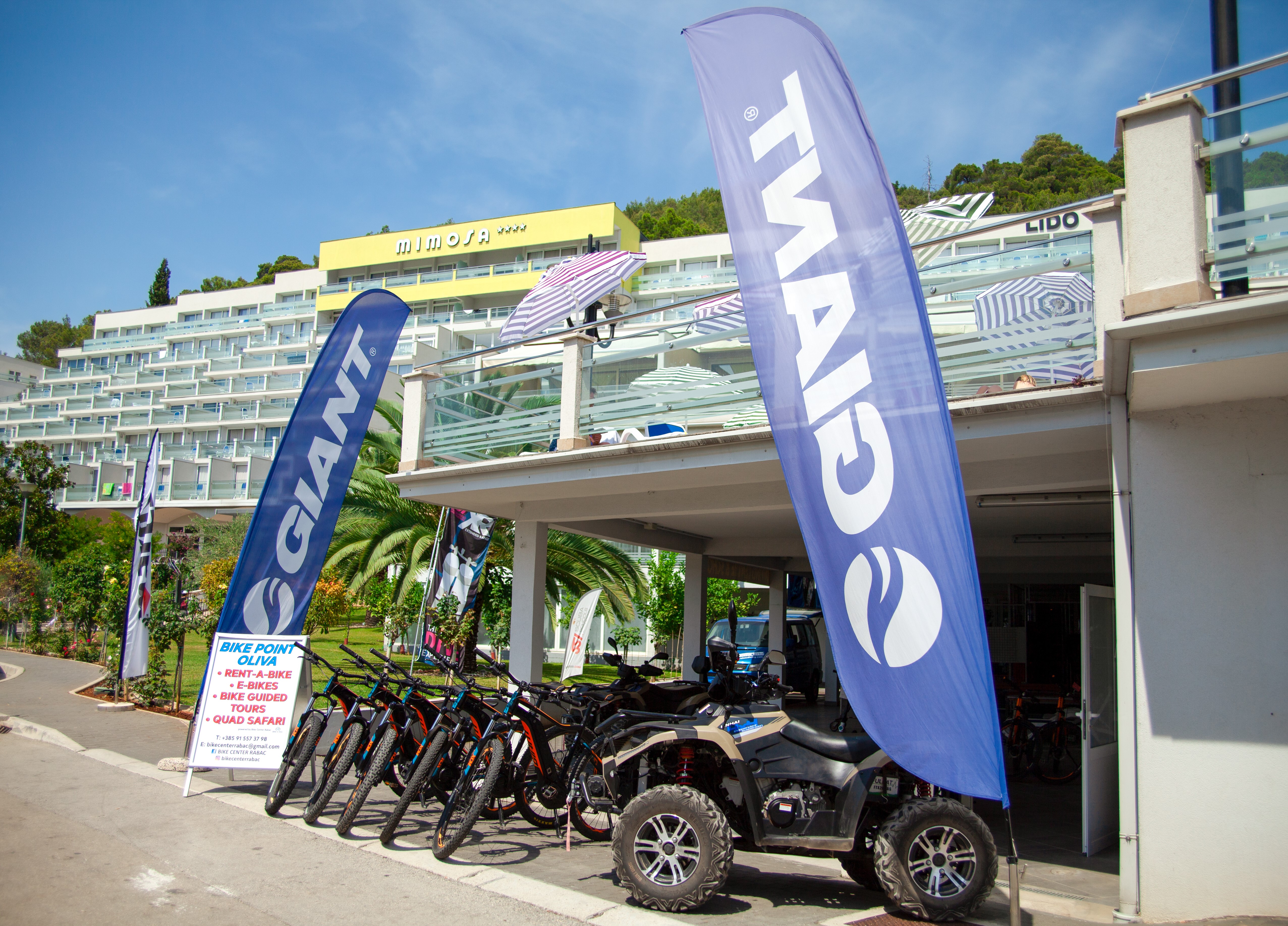 Sports and Entertainment