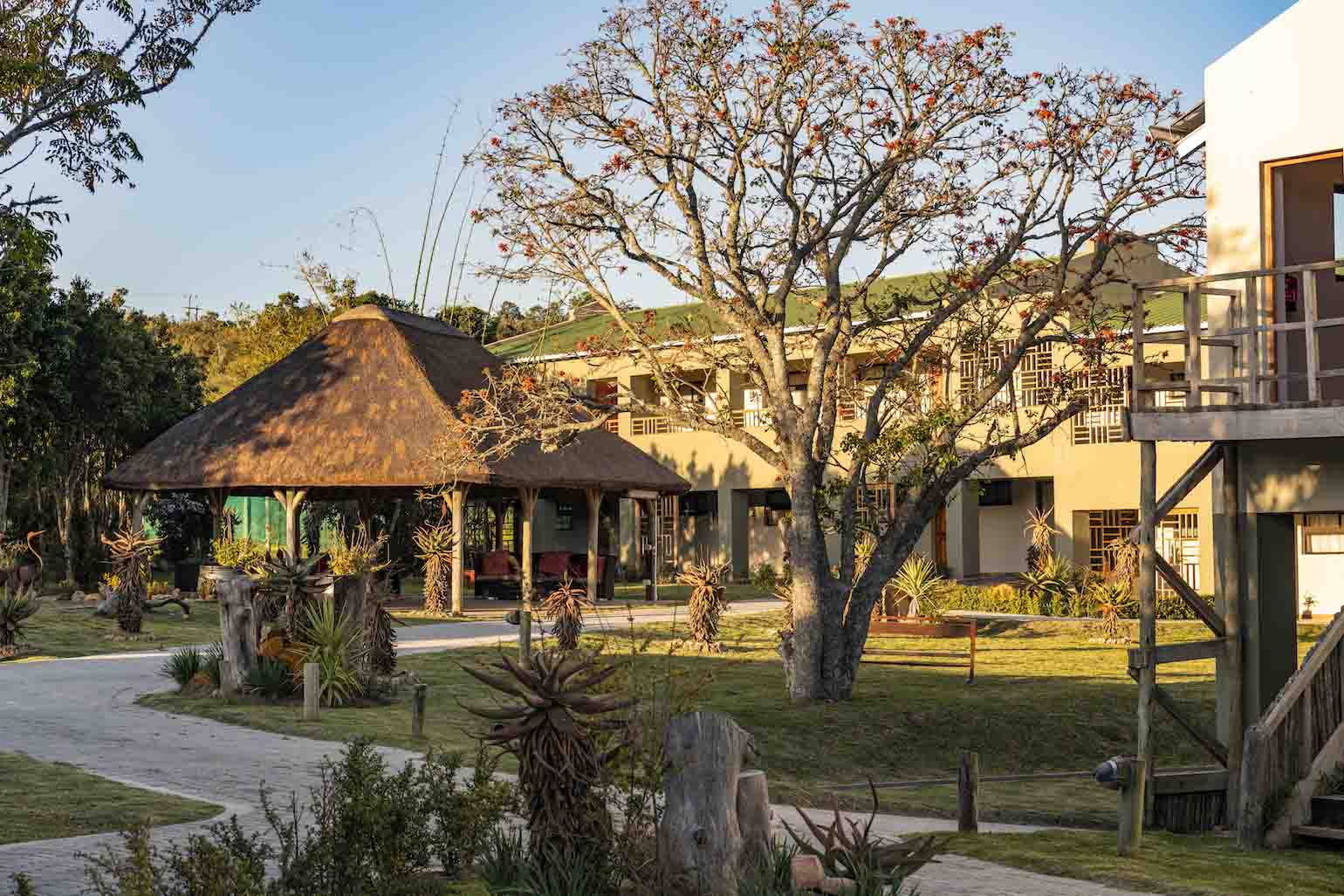 Double or Twin Deluxe