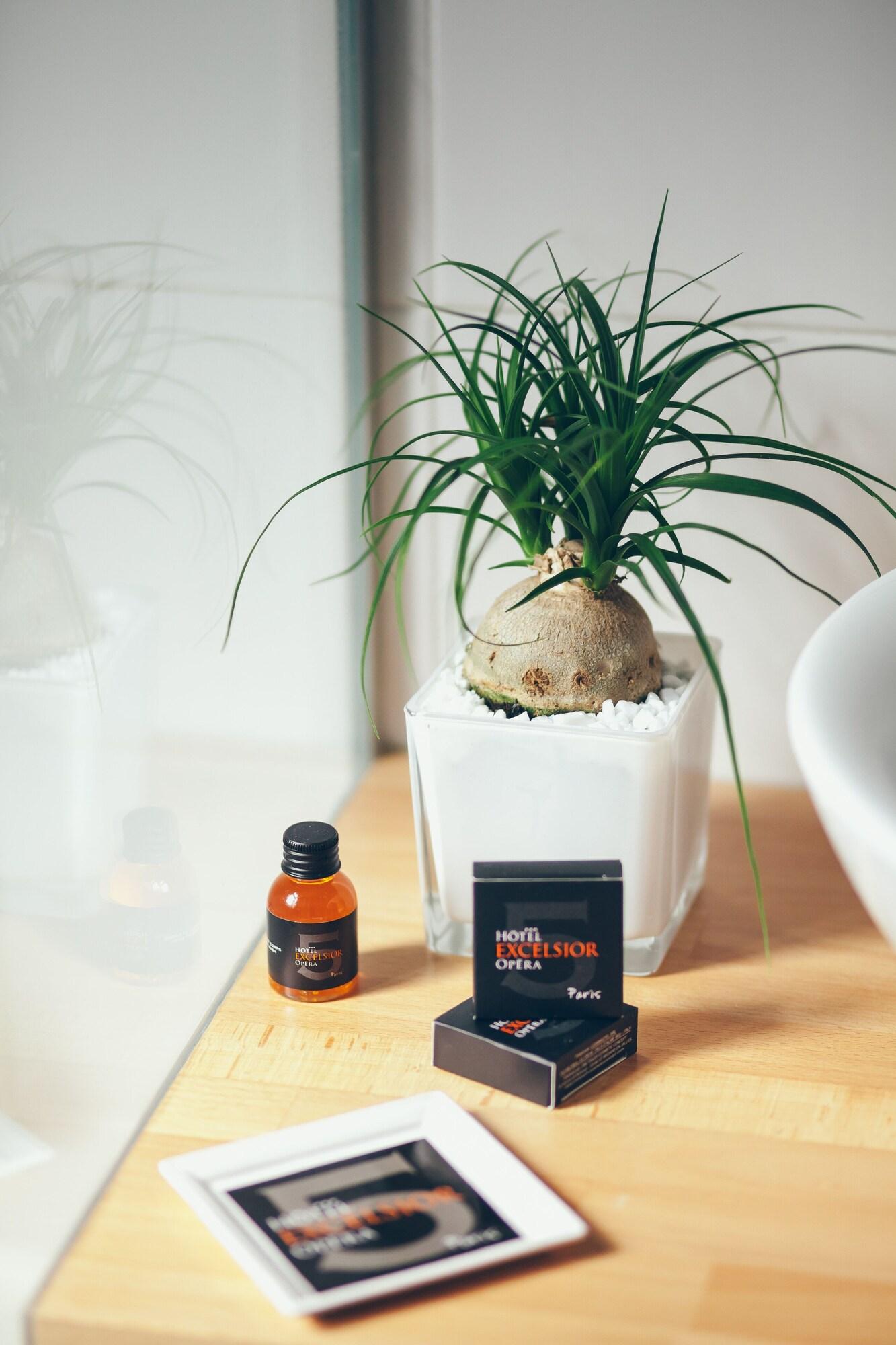 Double Superior Queen Bed