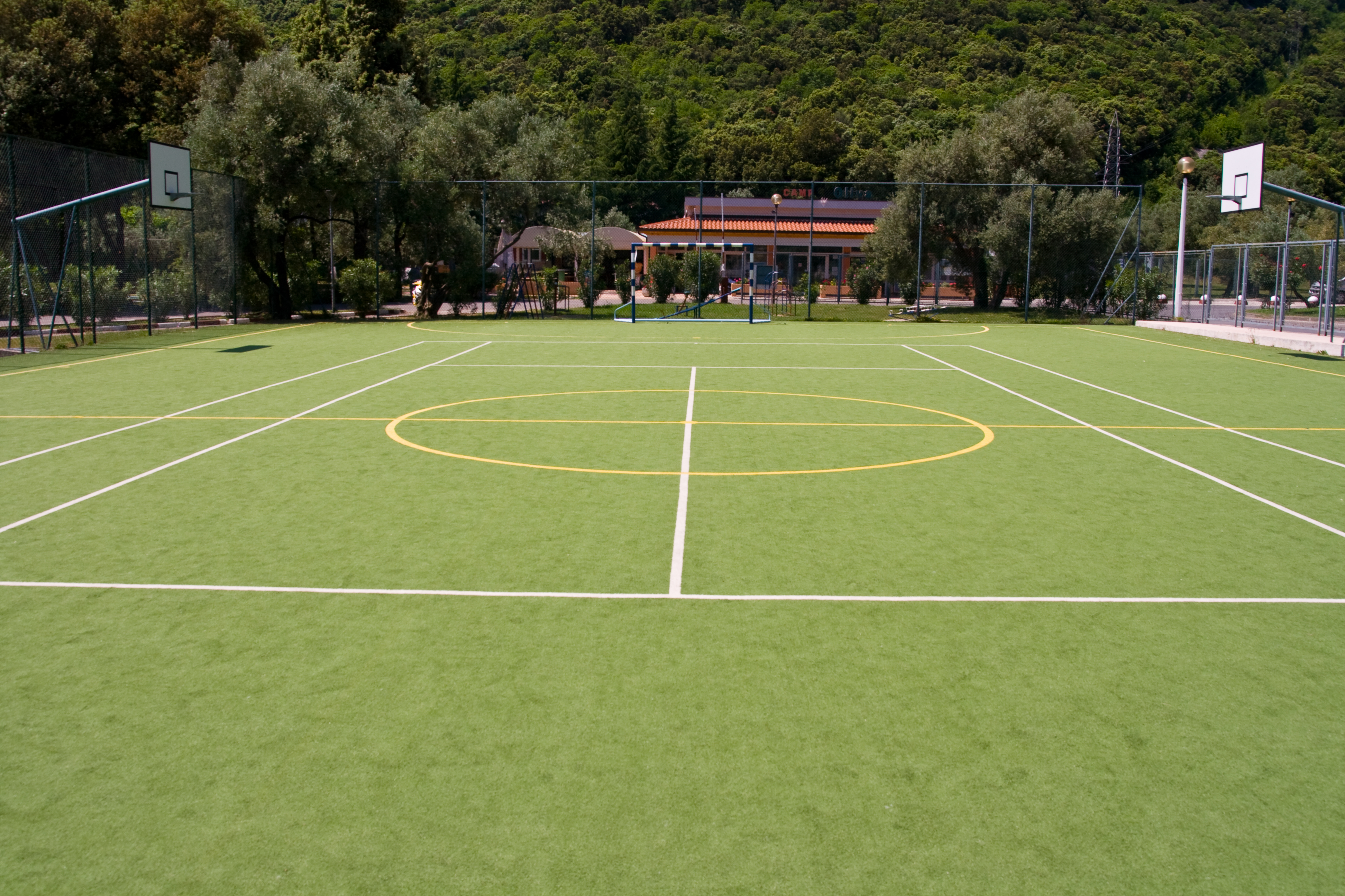 Sports and Entertainment