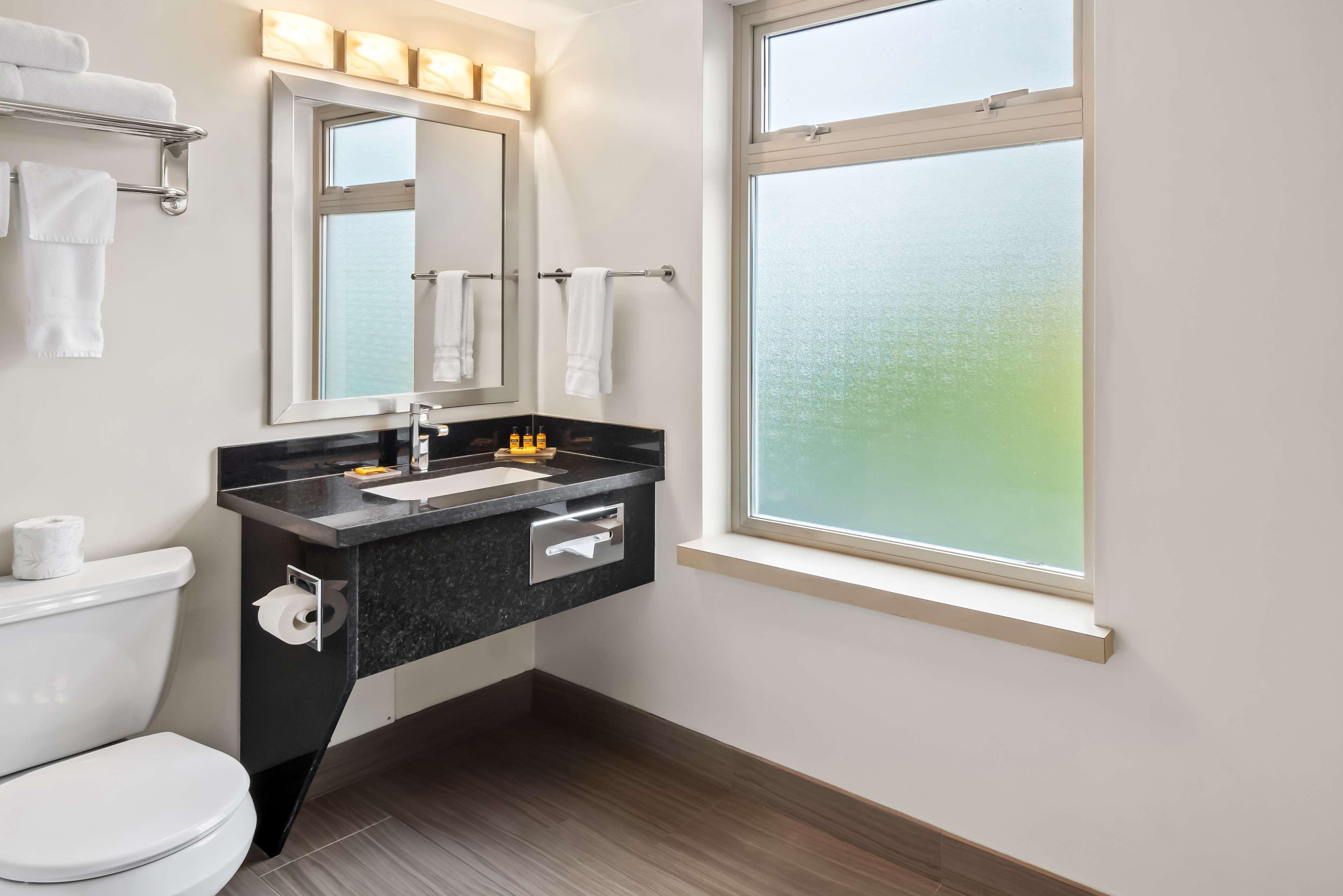 Suite King Bed Non Smoking