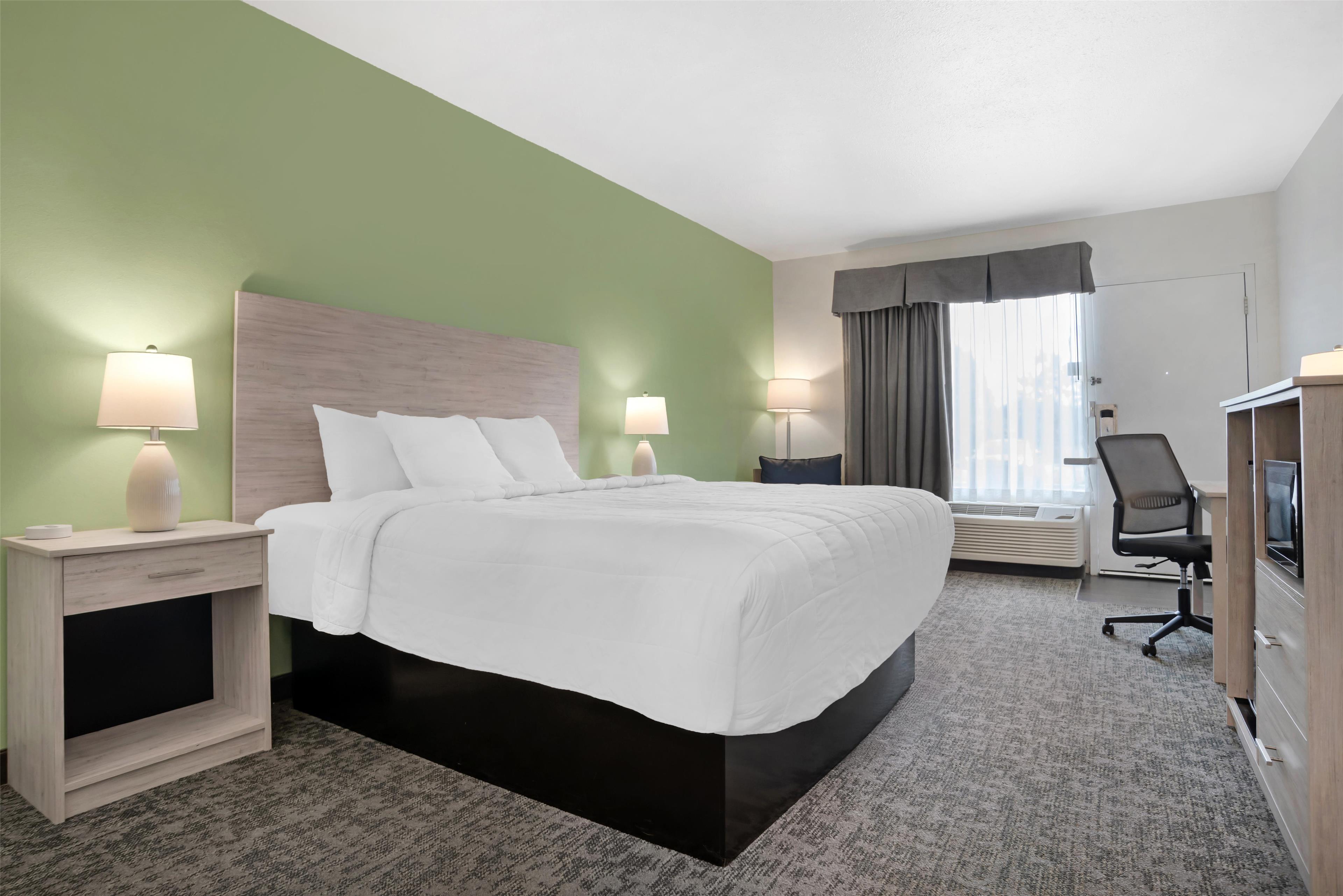 Room Accessible King Size Bed