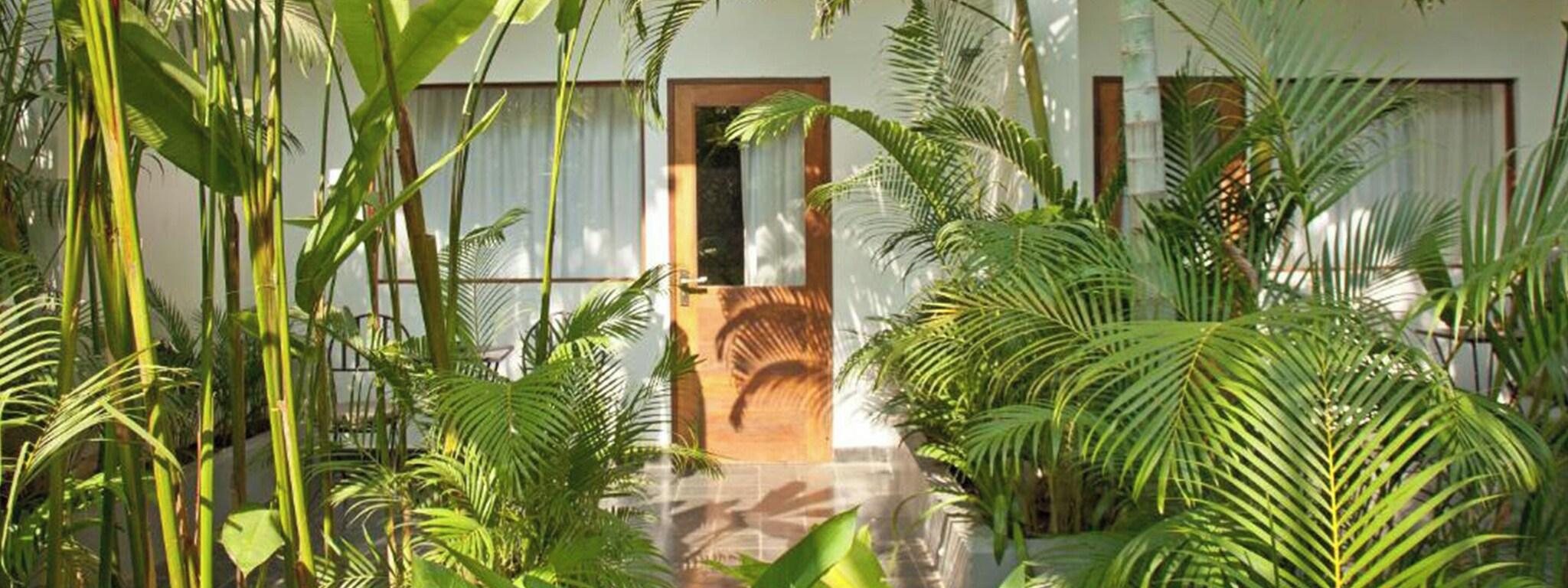 Twin Deluxe Two Beds