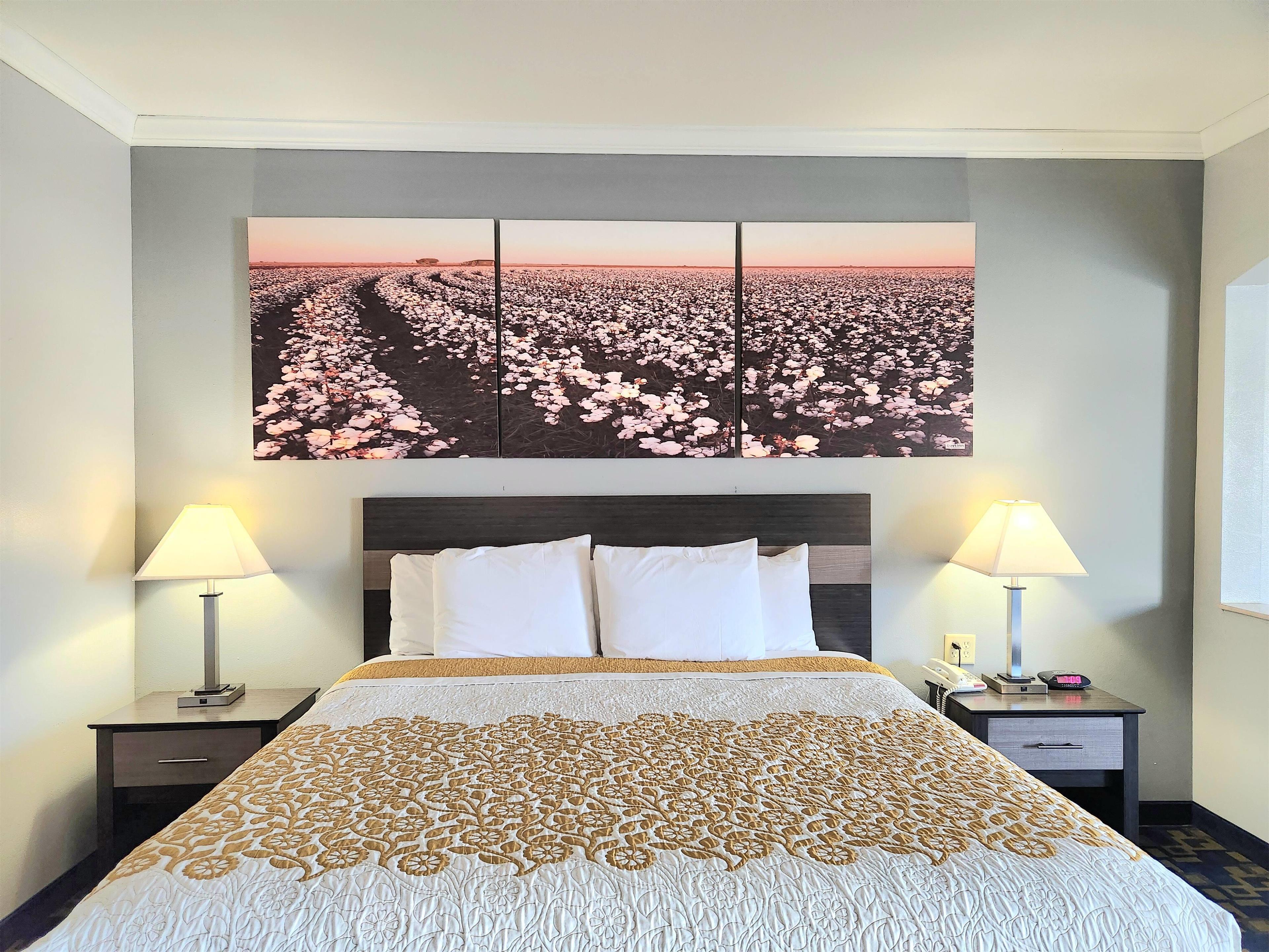 Double King Bed Non Smoking