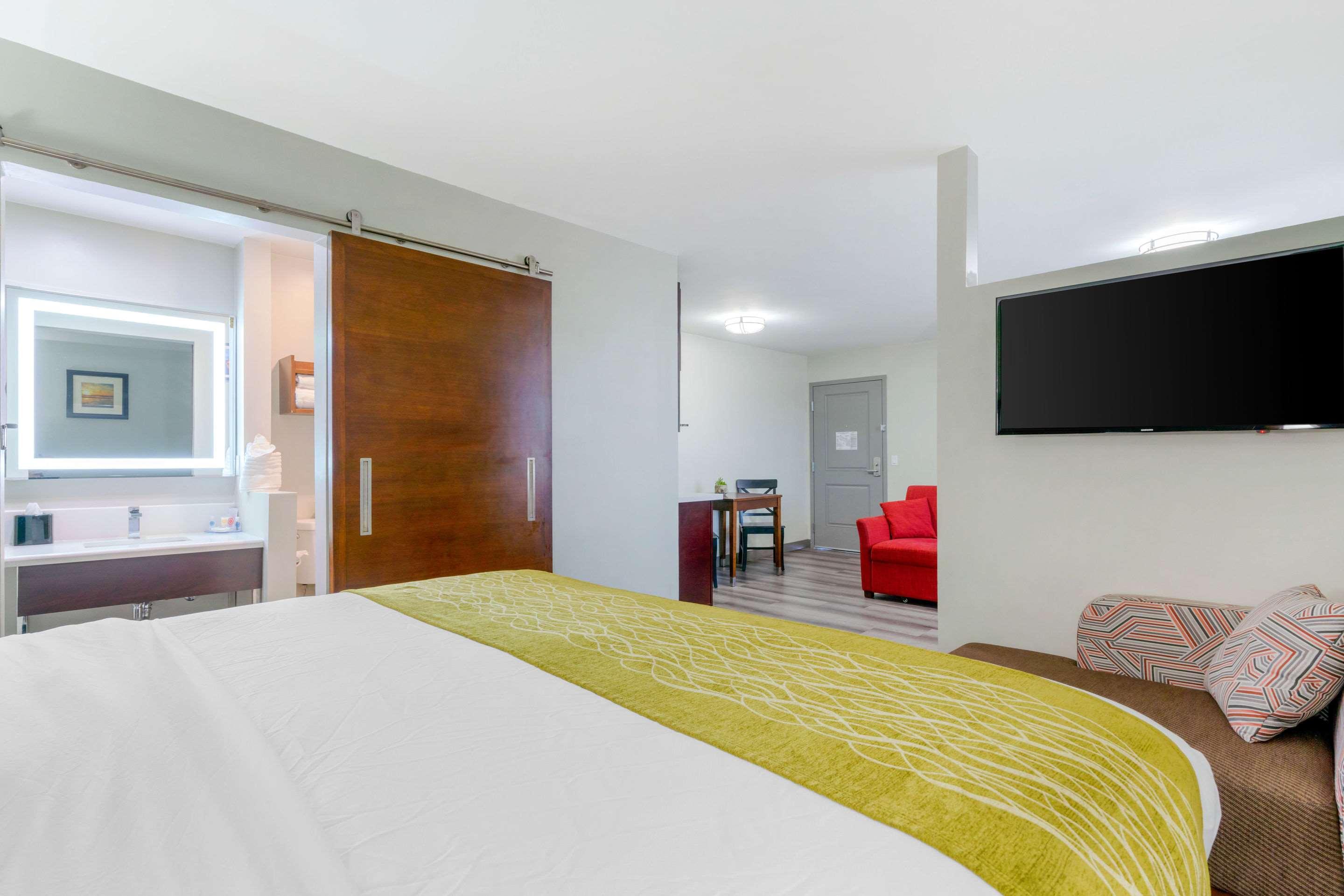 Suite King Bed Non Smoking