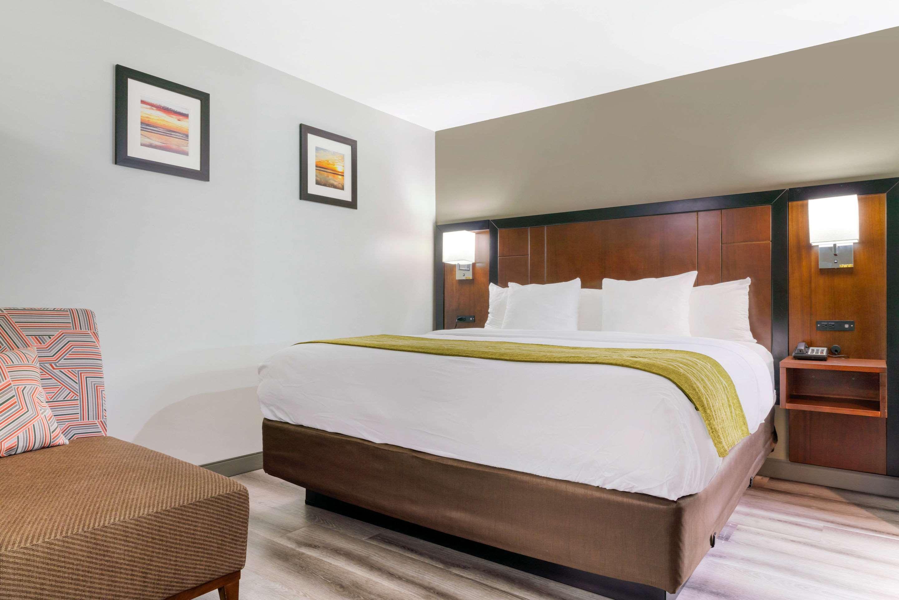 Suite King Bed Non Smoking