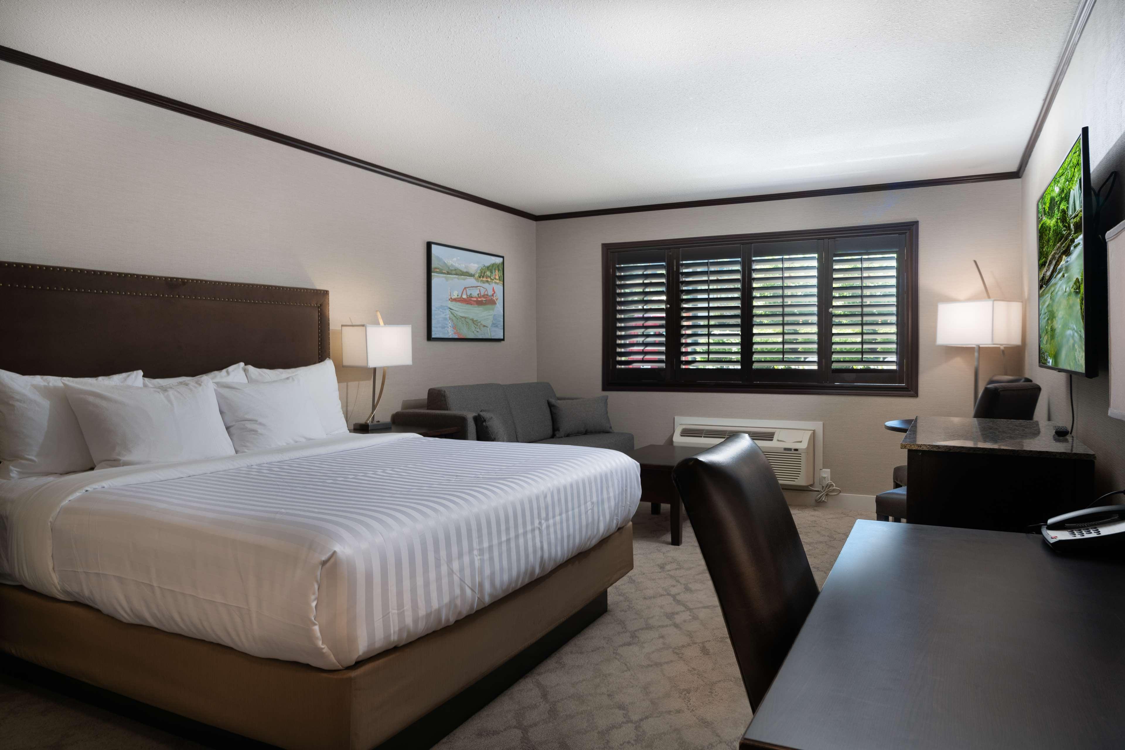 Room Accessible King Size Bed