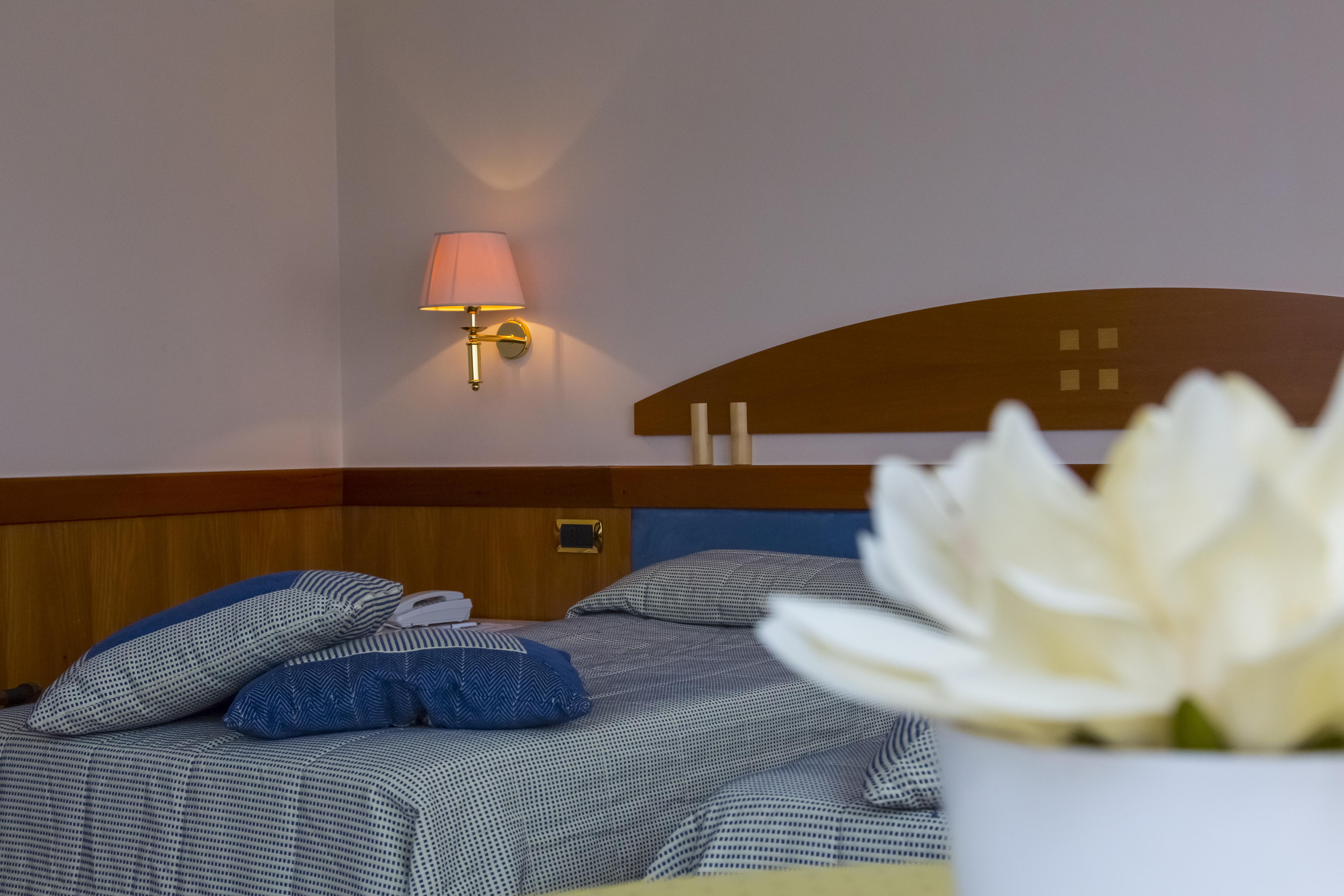 Double or Twin Standard