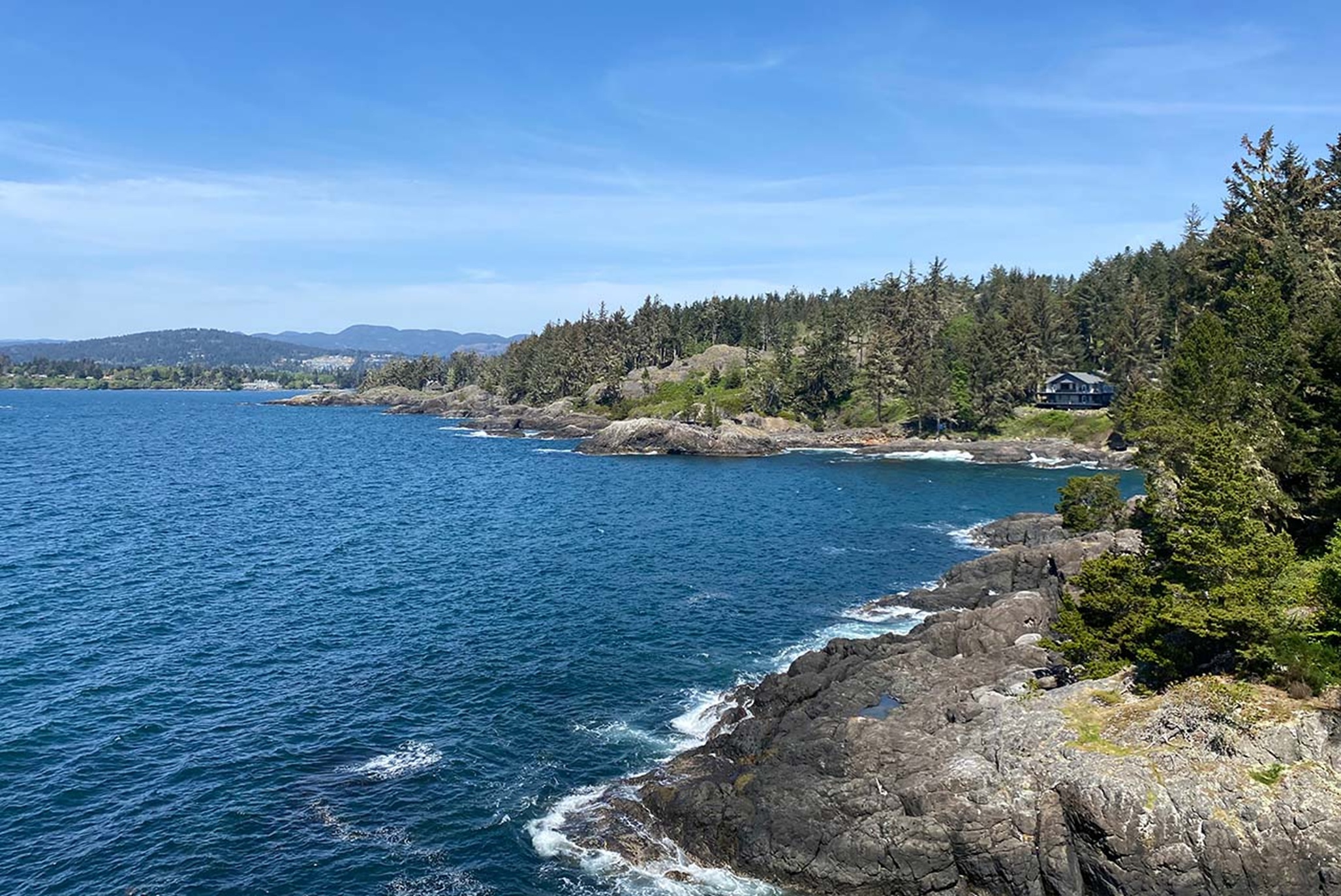 Suite Partial Ocean View One Bedroom