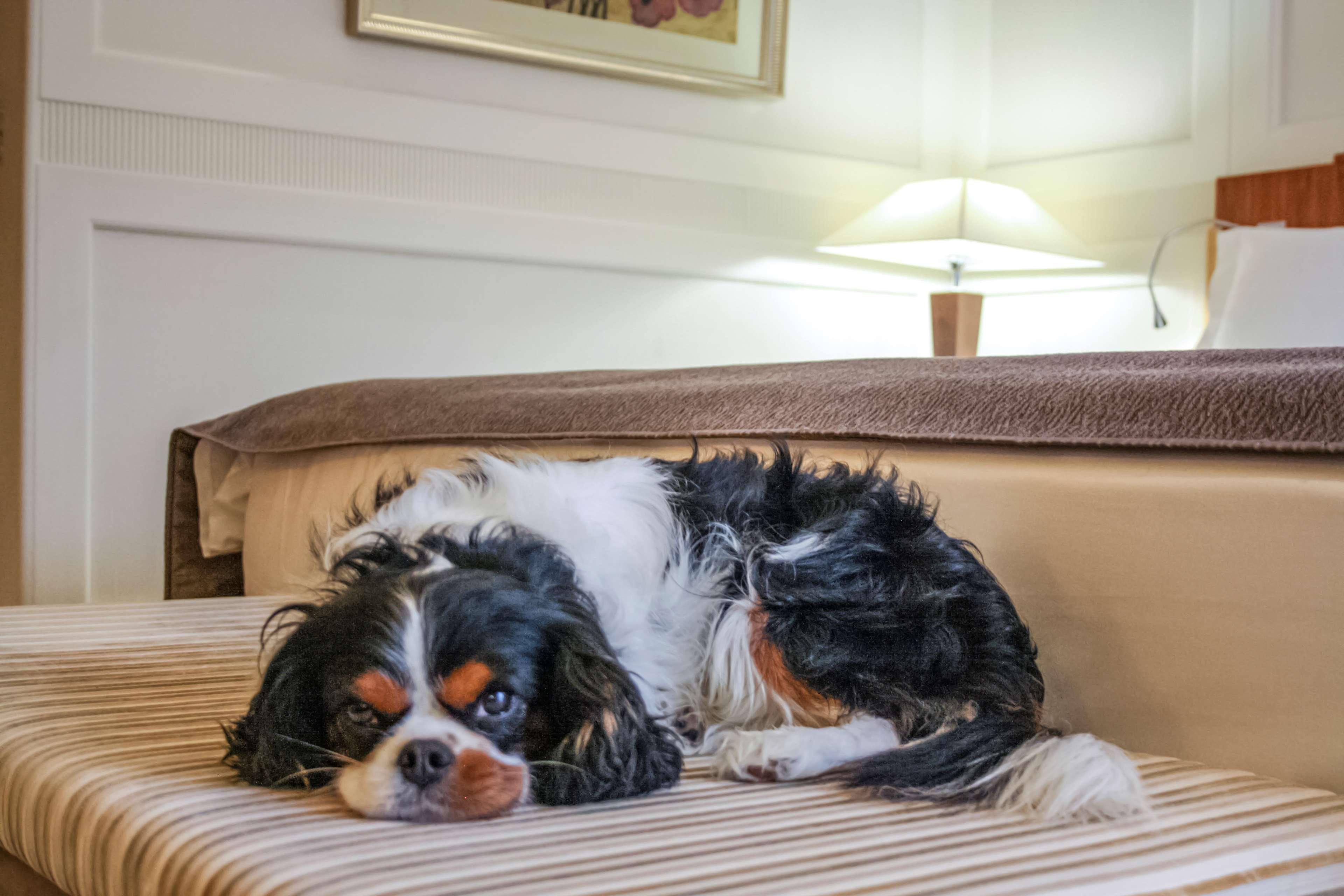 Room Superior Sea View