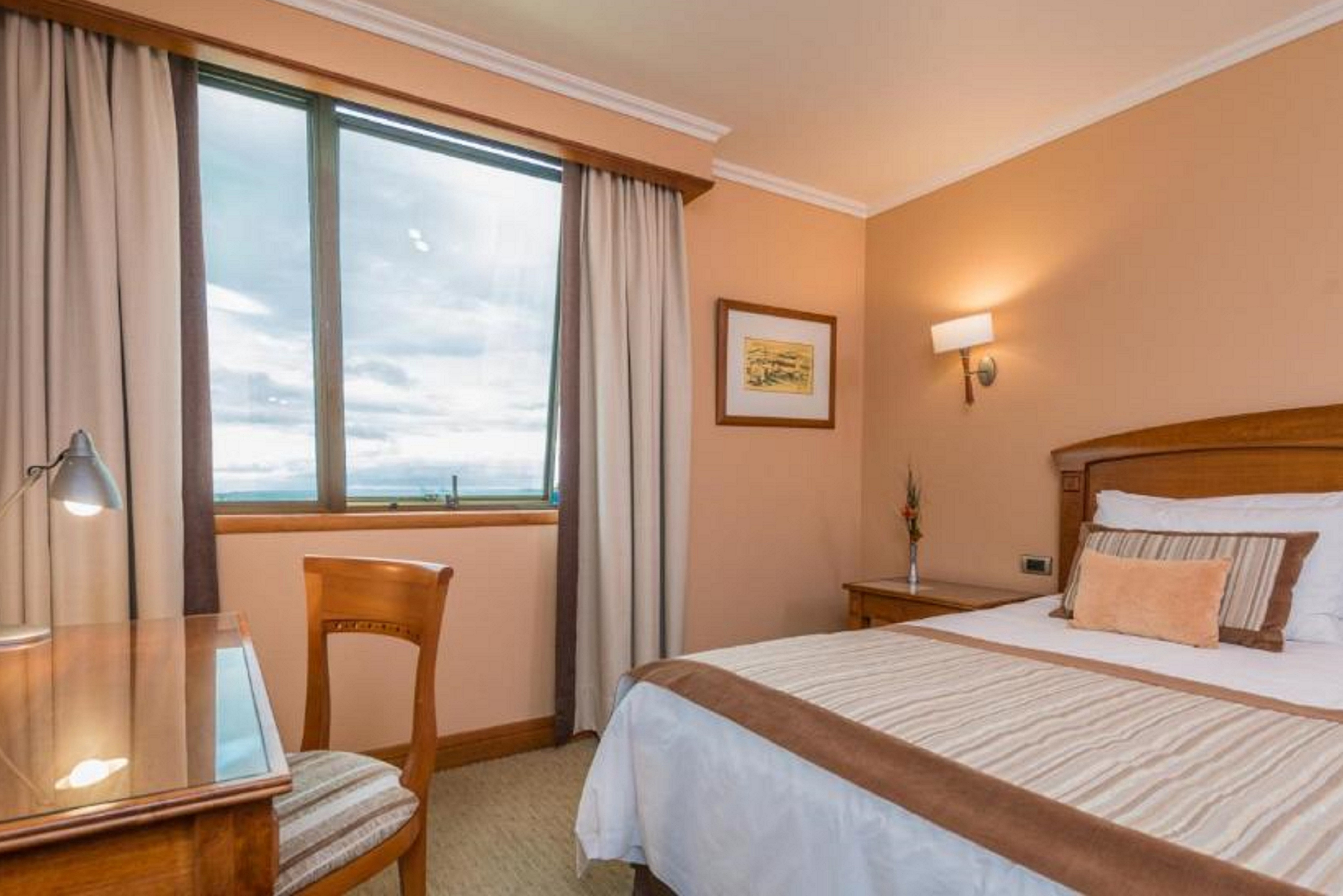 Double City View King Bed