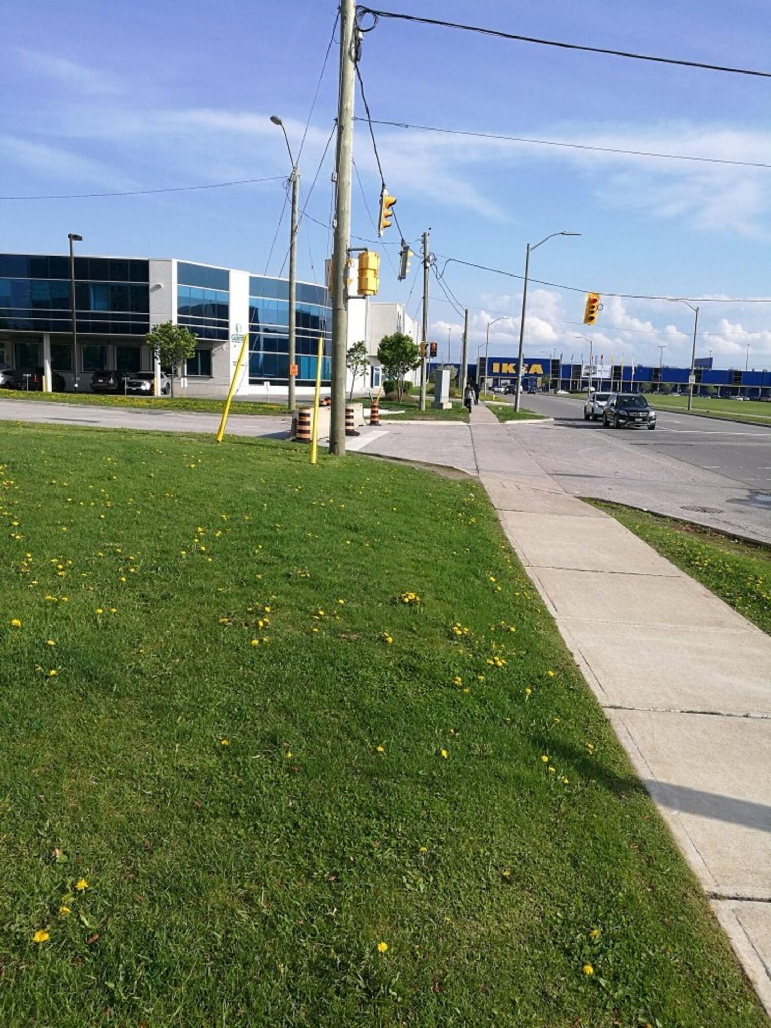 Suite Two Double Beds