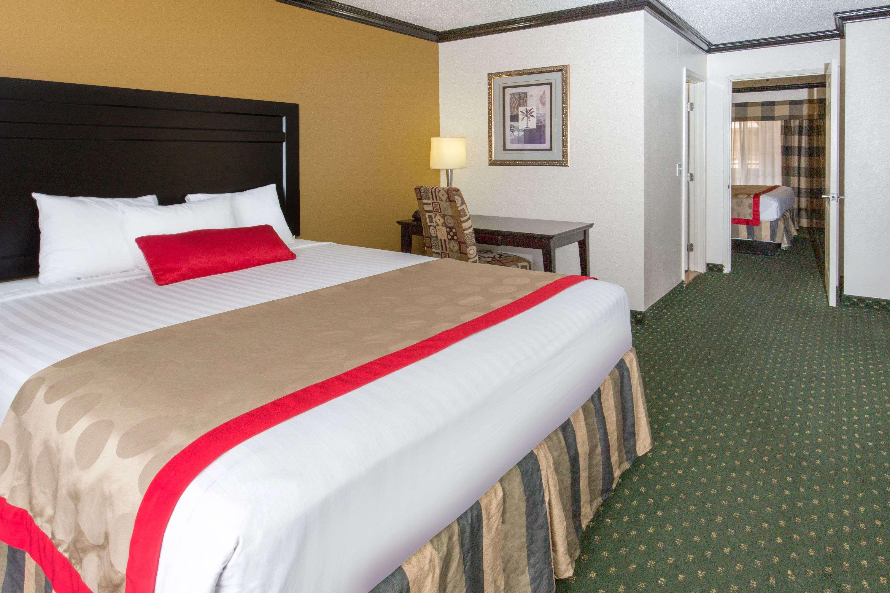 Suite King Bed Non Smoking