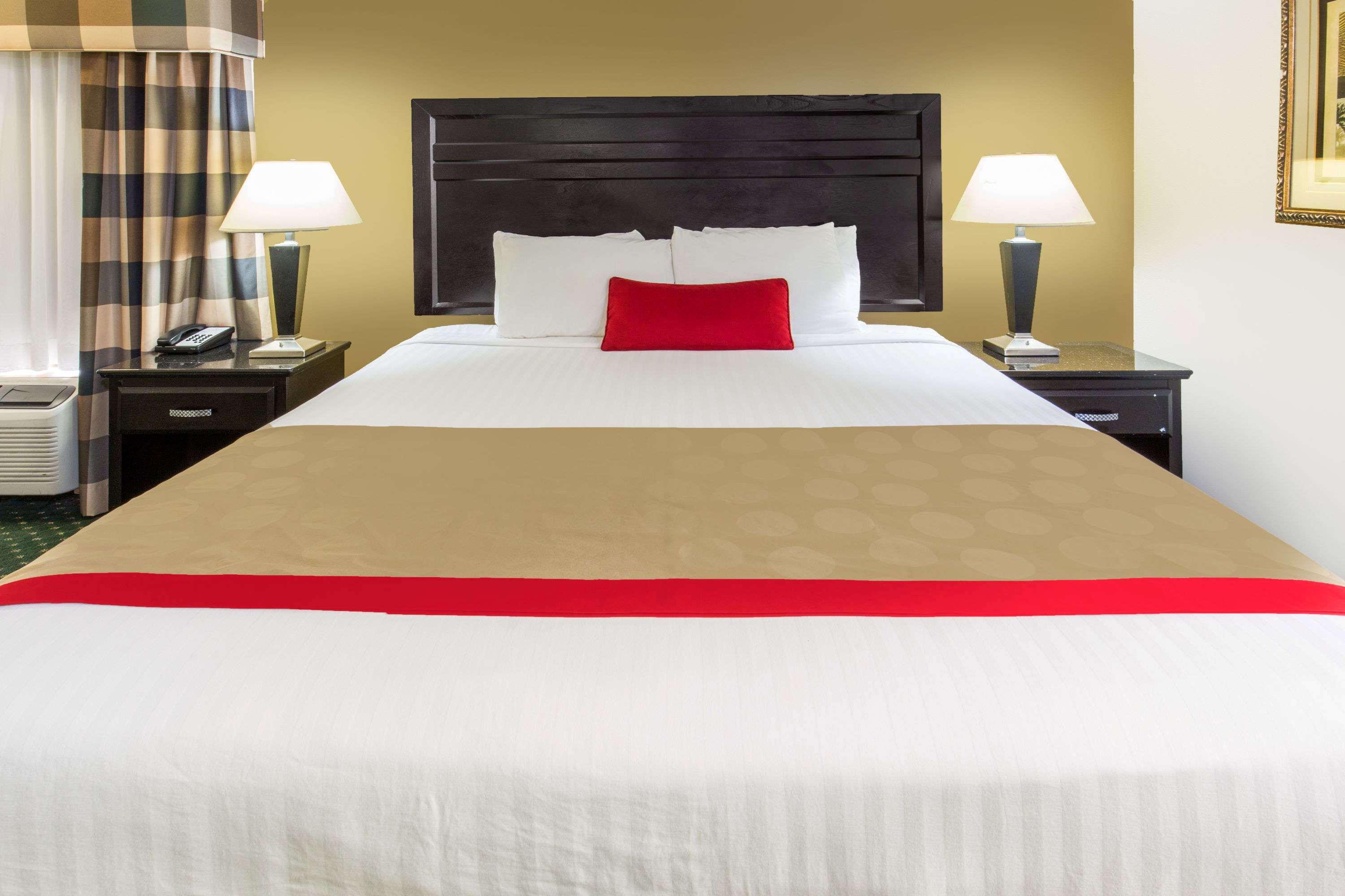 Double King Bed Non Smoking