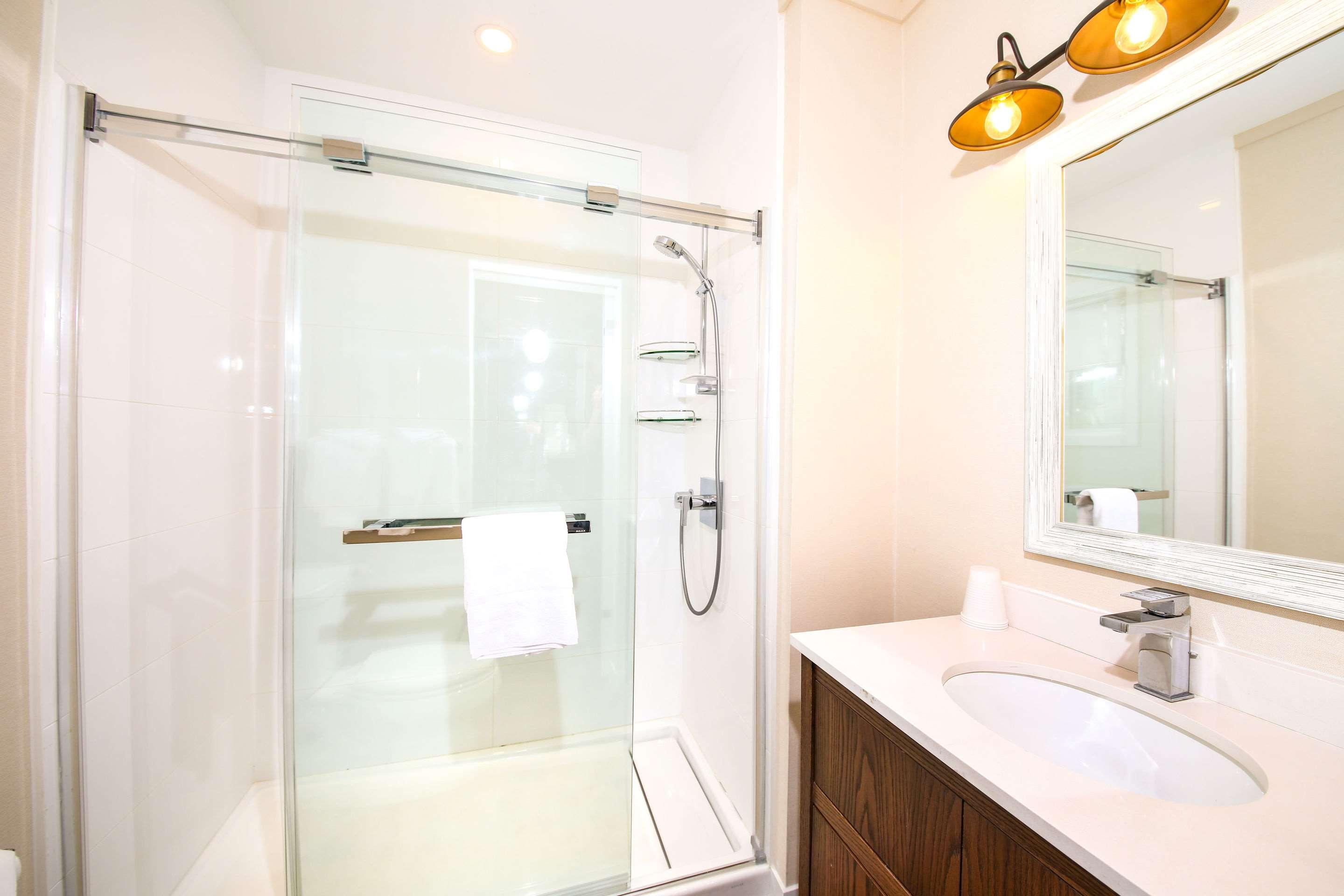 Double Queen Size Bed