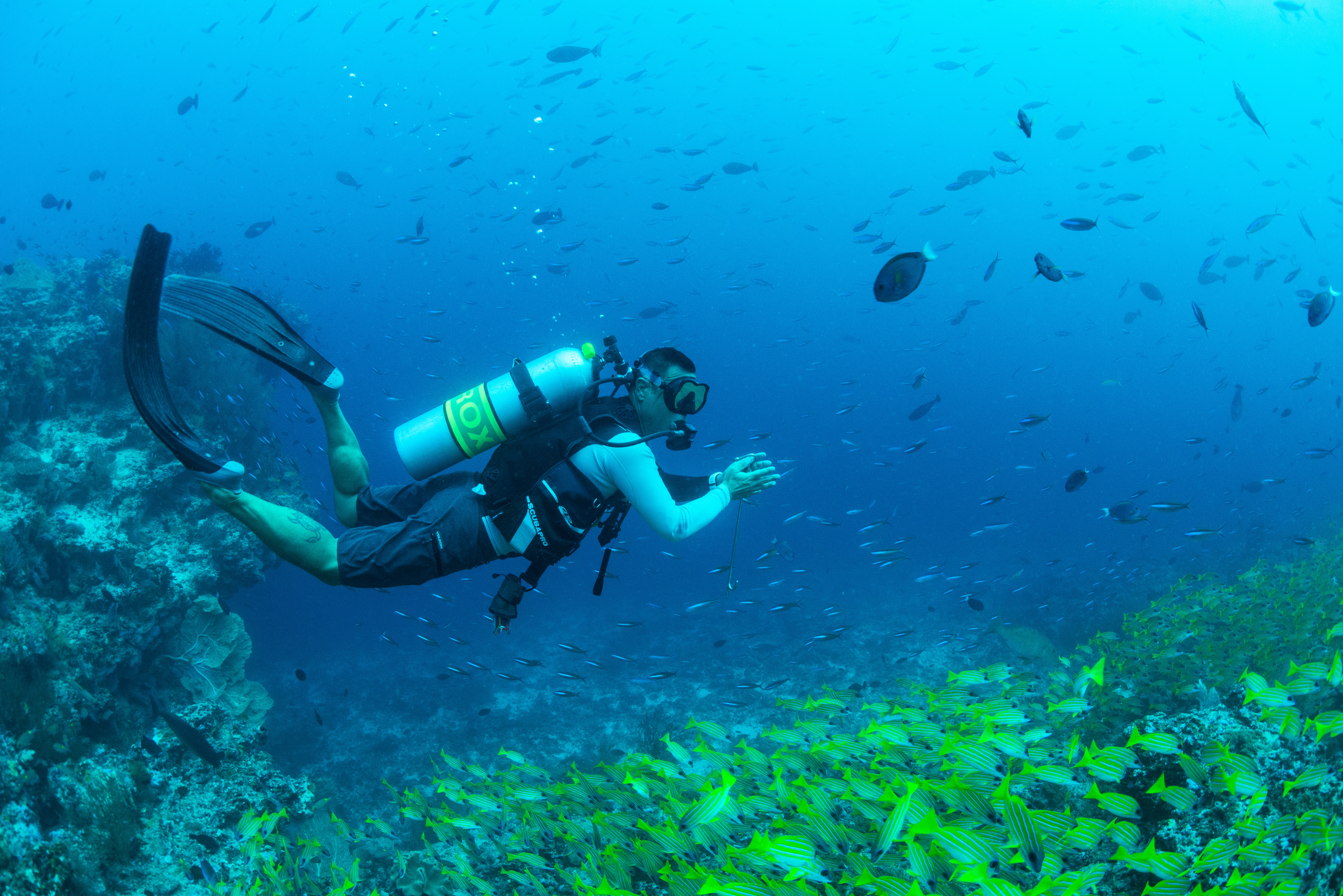 Sports and Entertainment