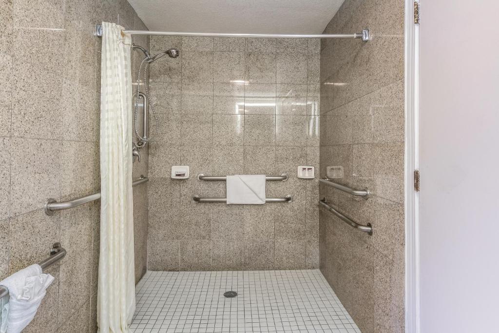 Double Queen Size Bed