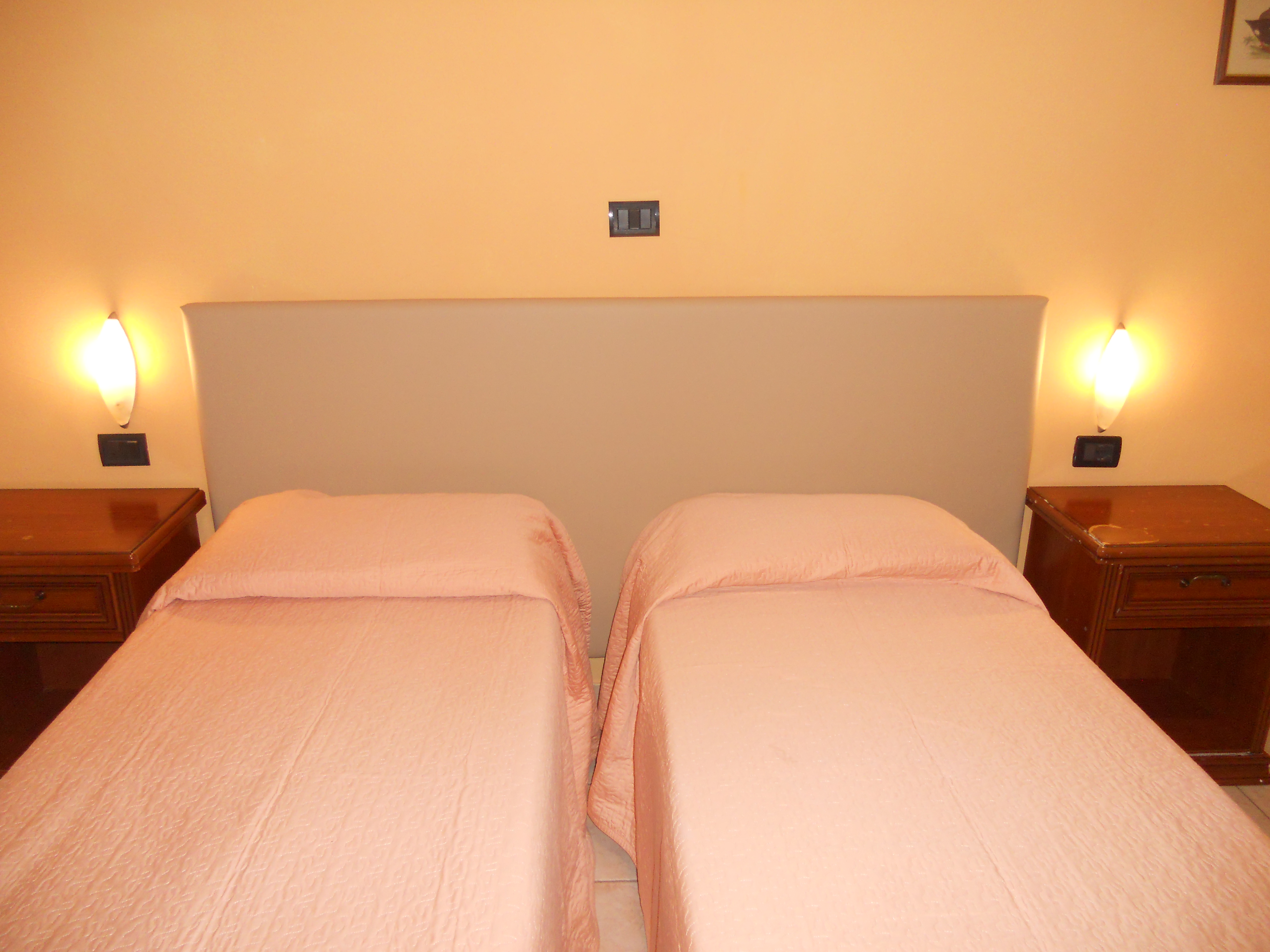 Double or Twin Standard