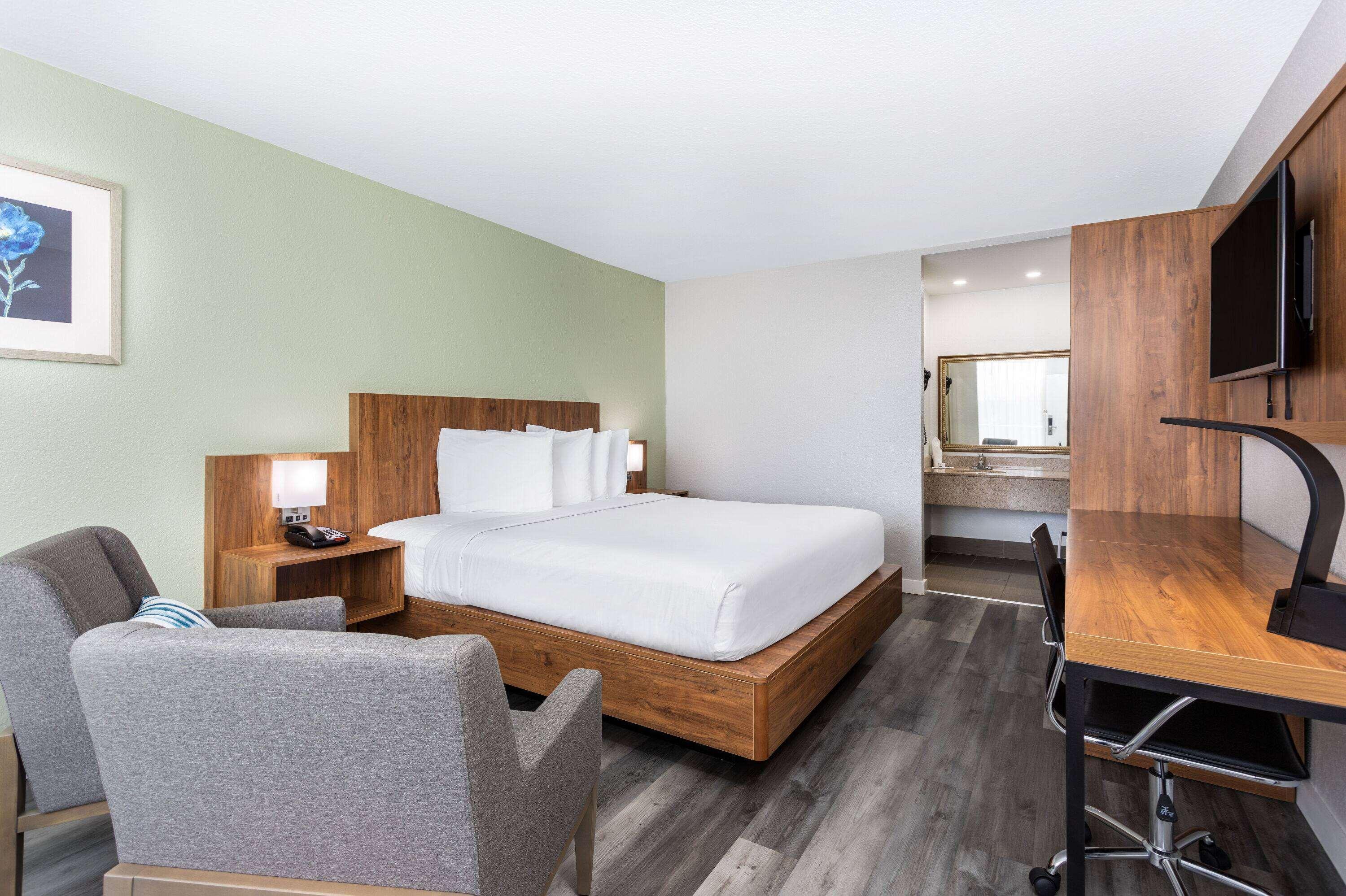 Double King Bed Non Smoking