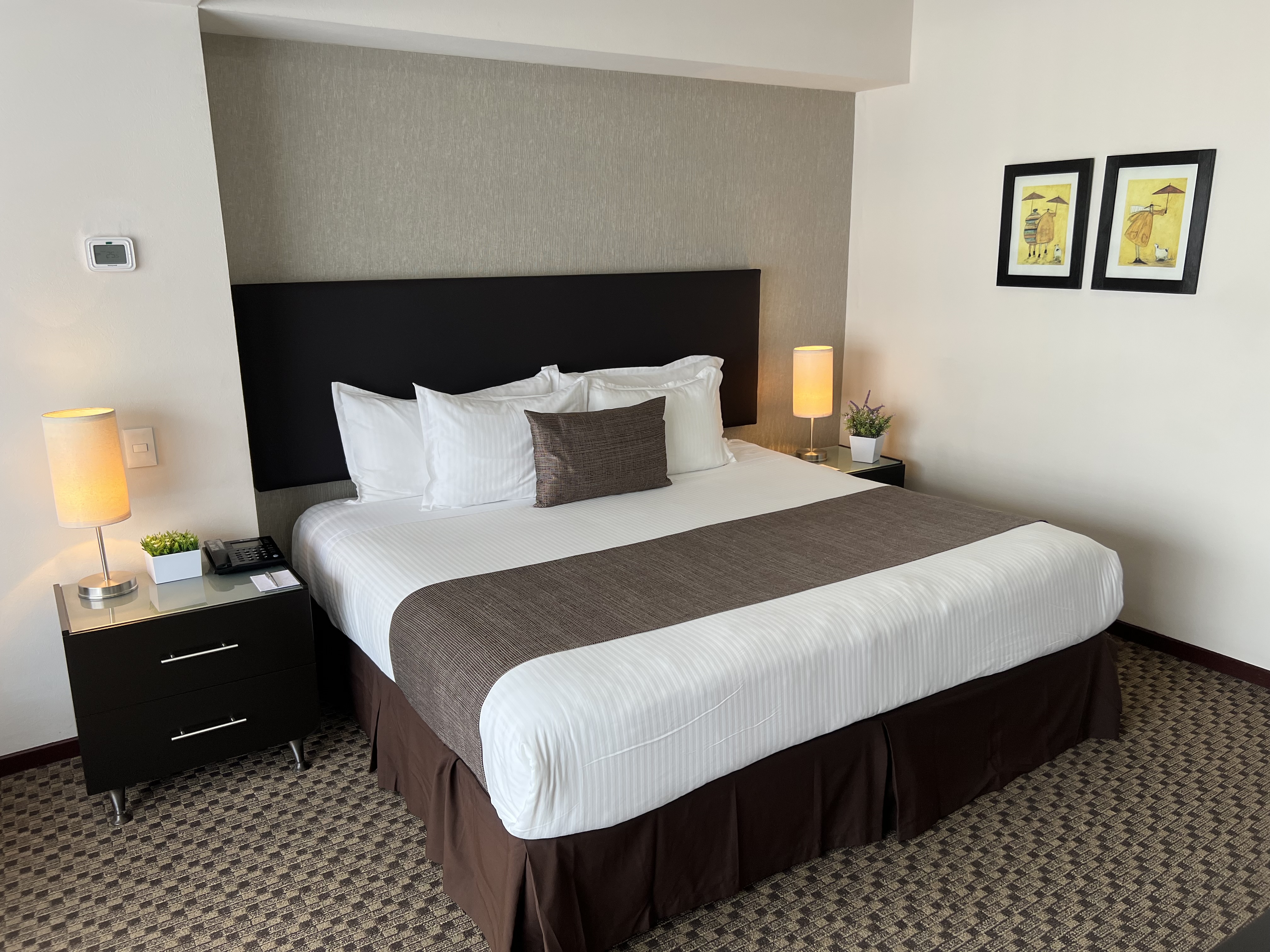 Apartment Deluxe One Bed