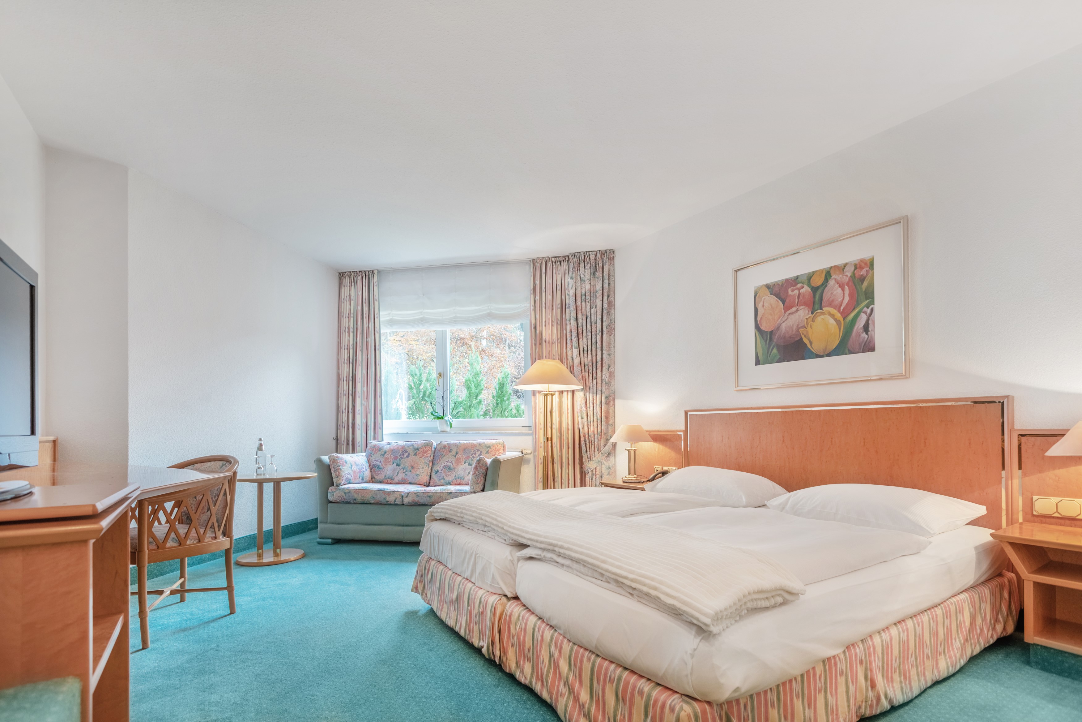 Family Room Classic One Bedroom