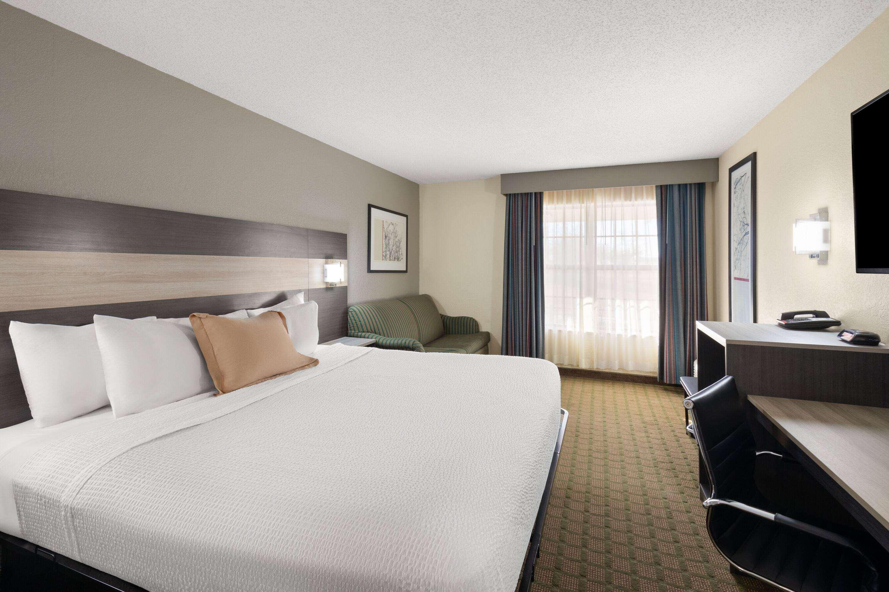 Suite King Bed Non Smoking